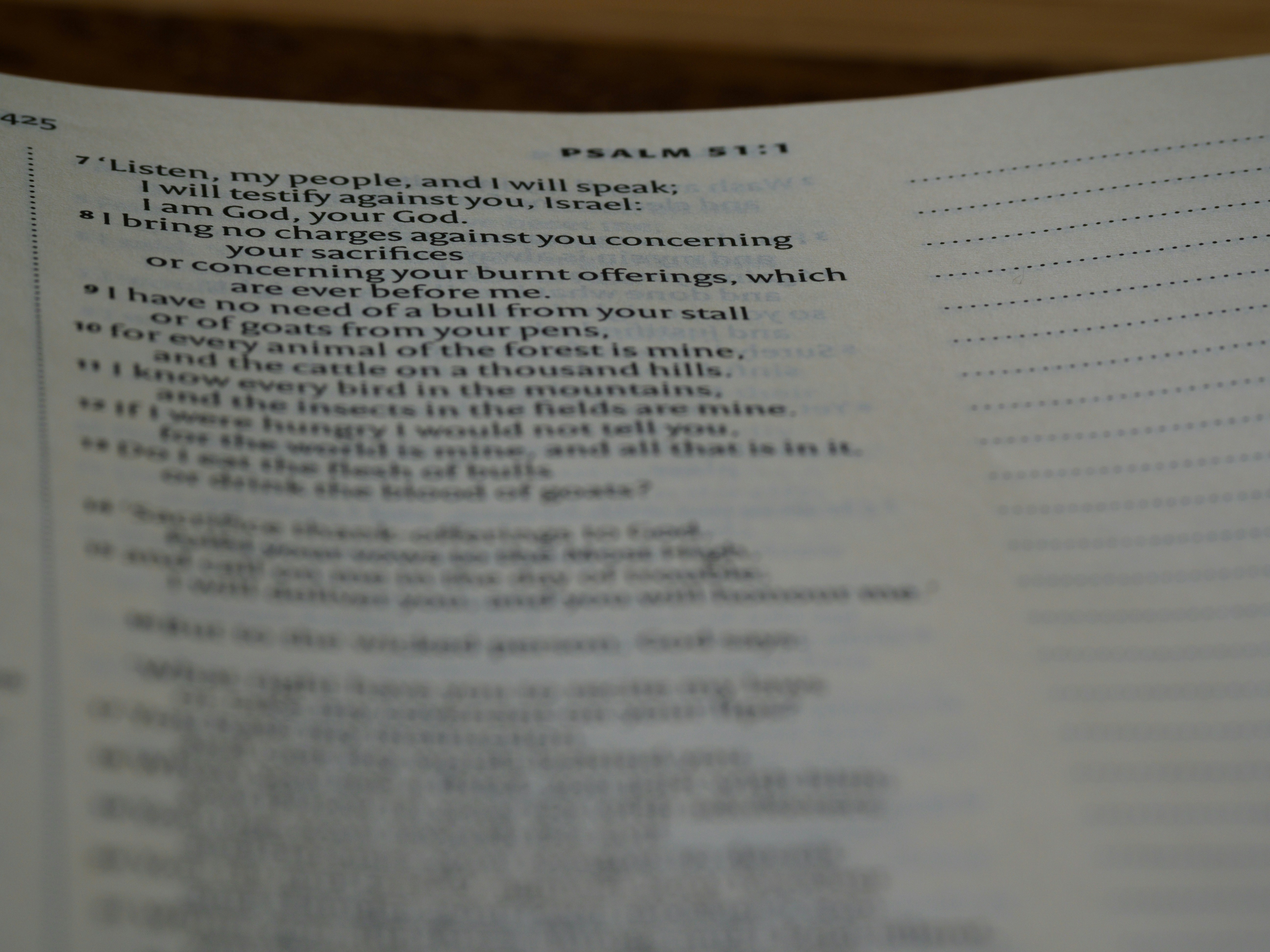 Photo by brett_jordan