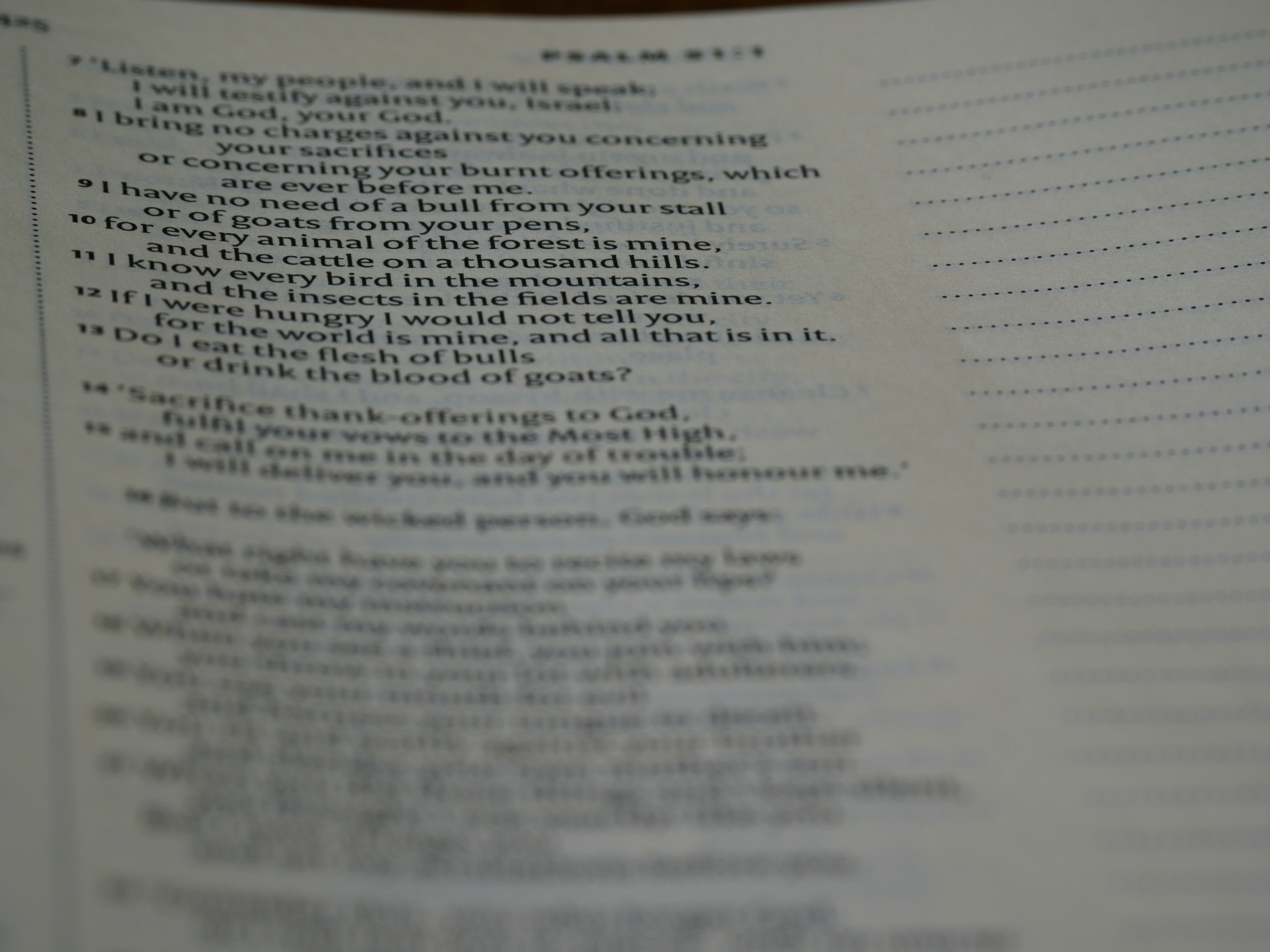 Photo by brett_jordan