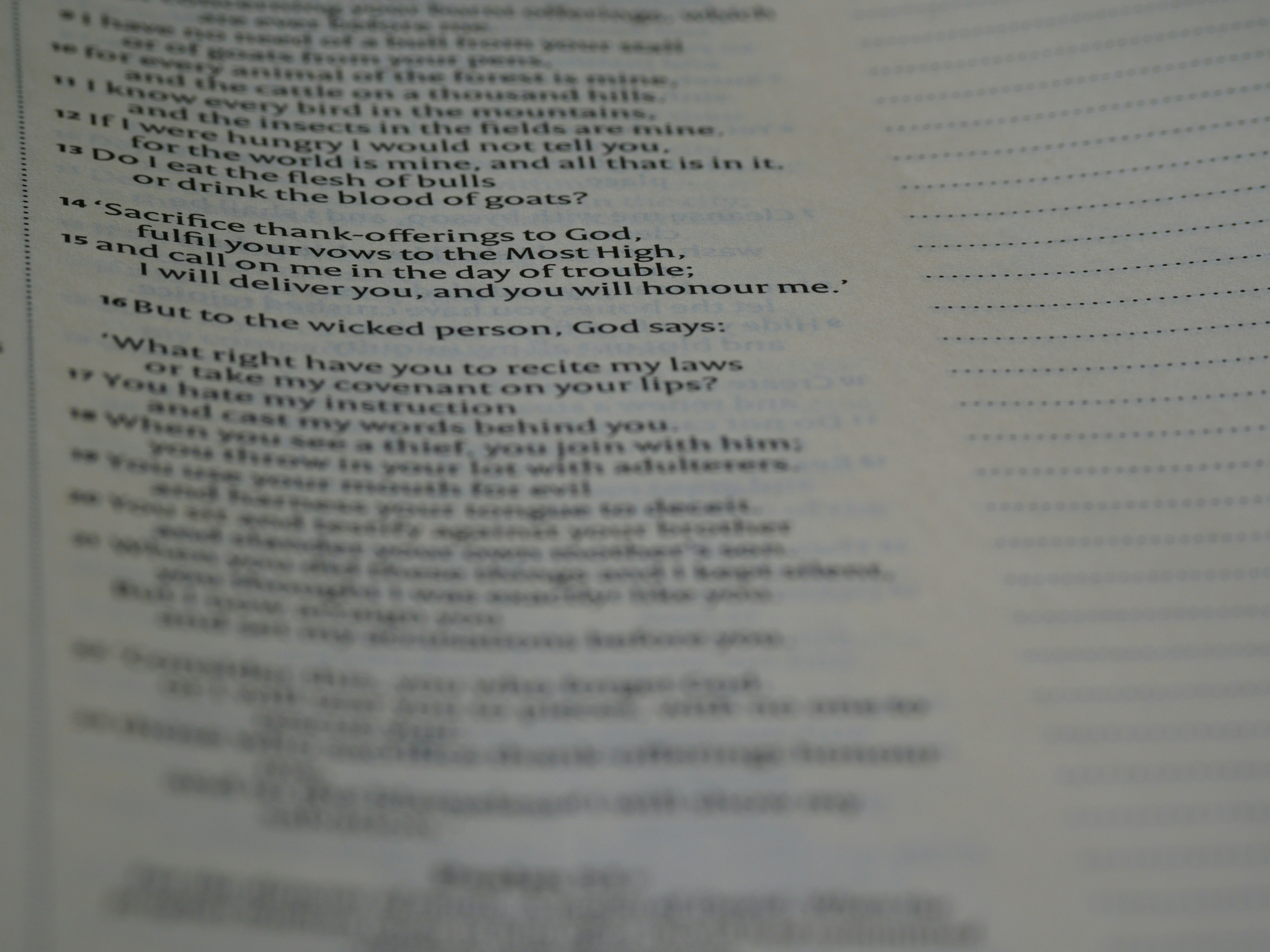 Photo by brett_jordan