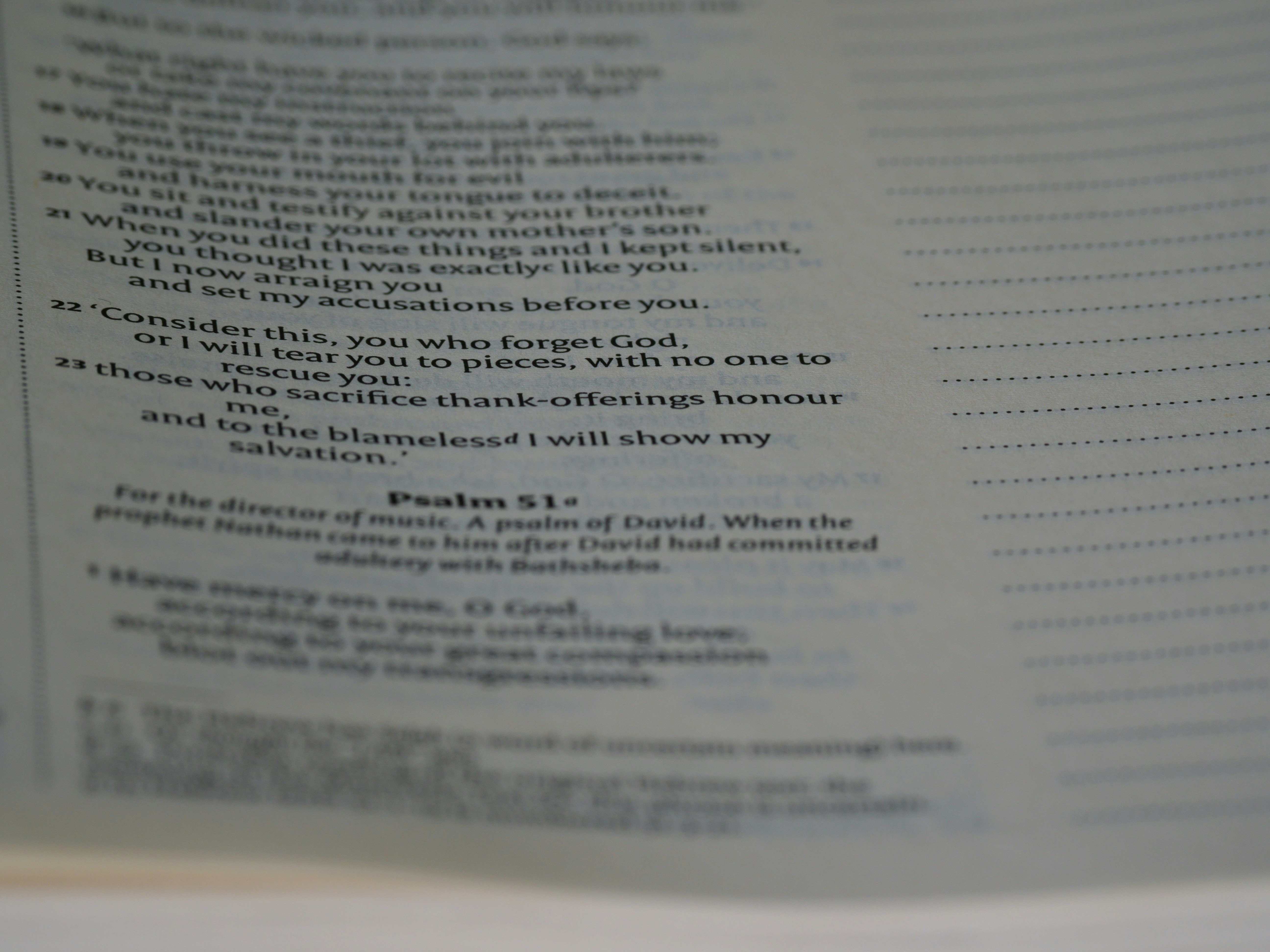 Photo by brett_jordan