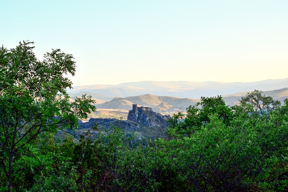 a view of a mountain range from a forest