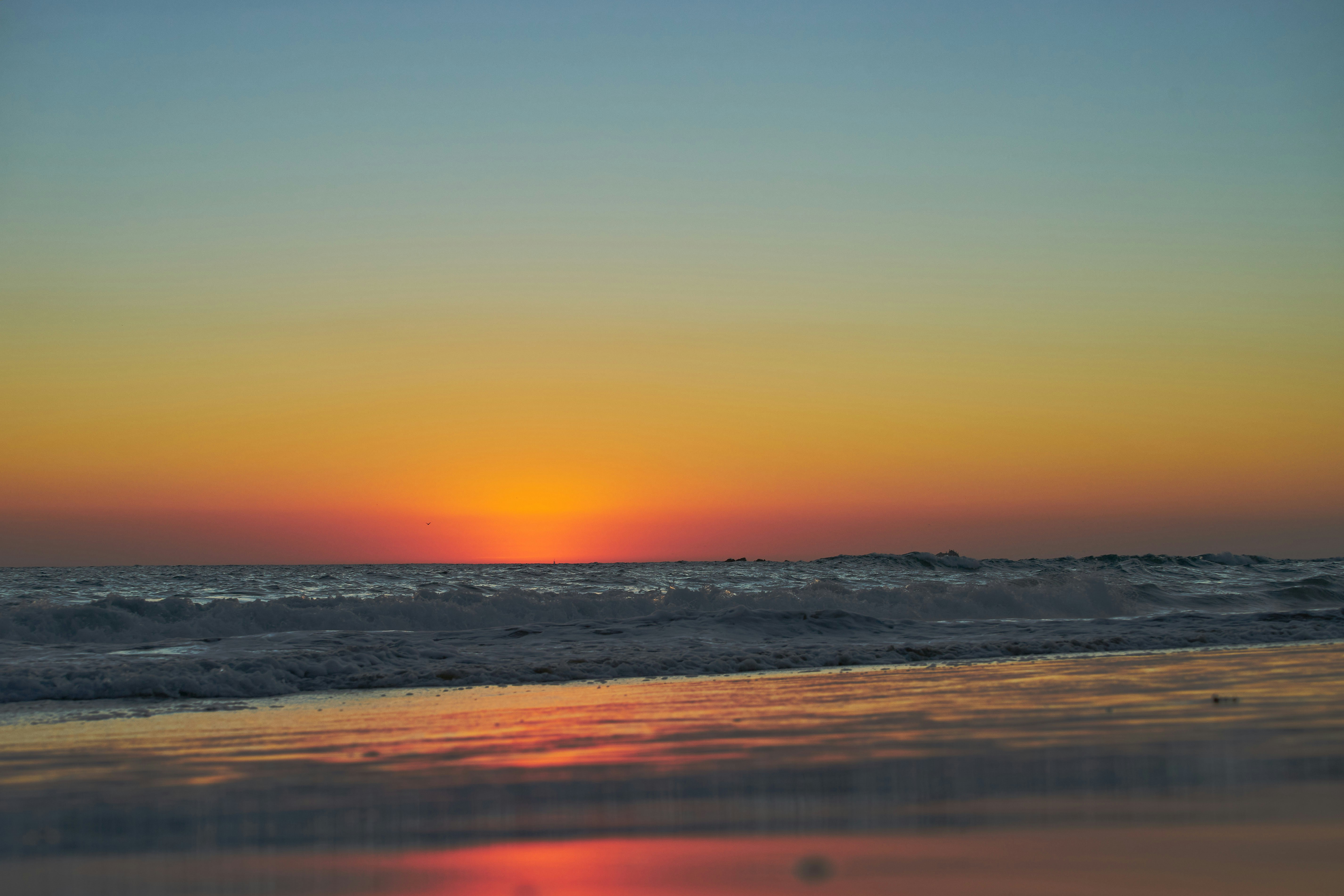 Photo by wolfgang_hasselmann