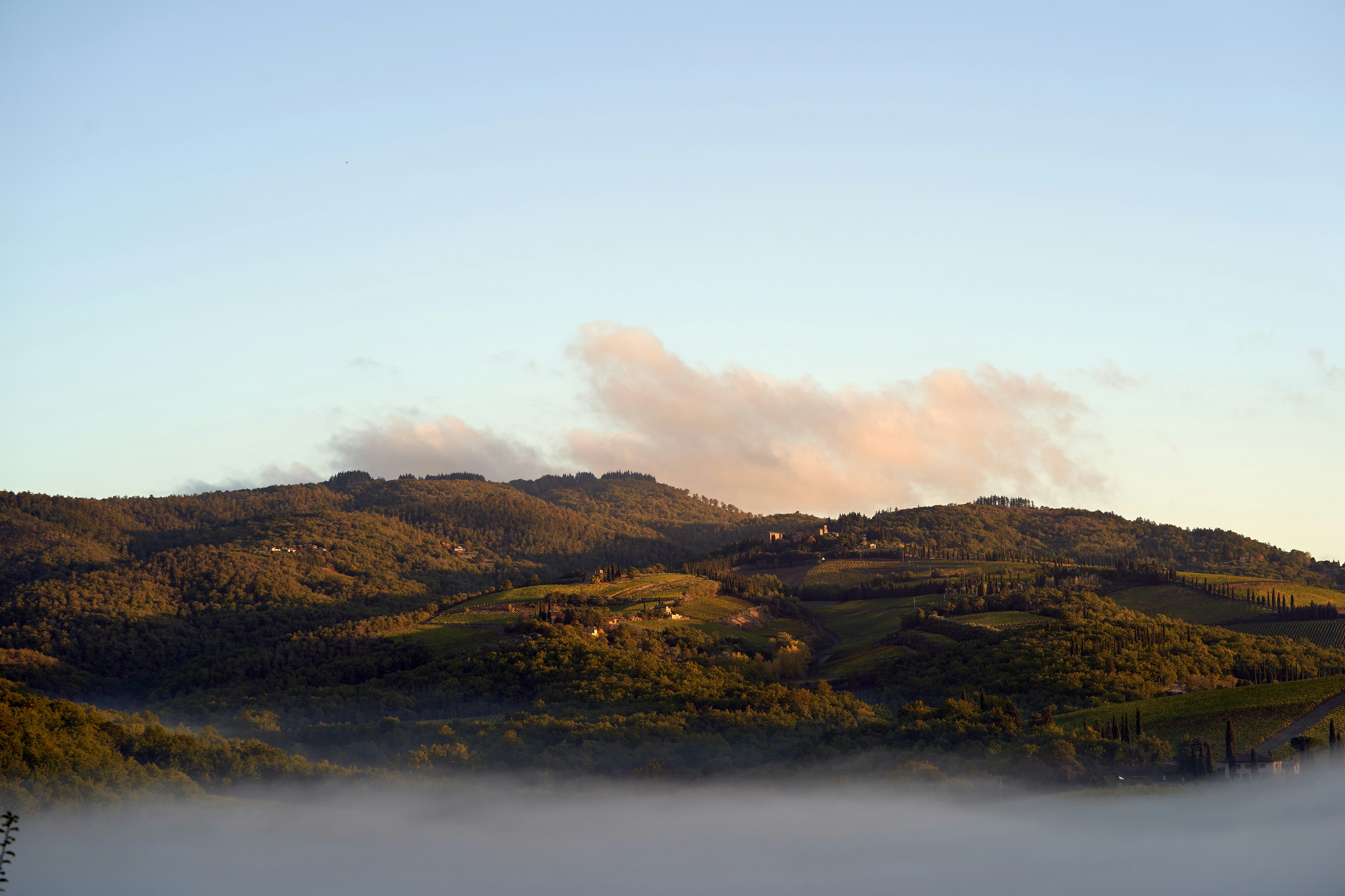 Photo by wolfgang_hasselmann