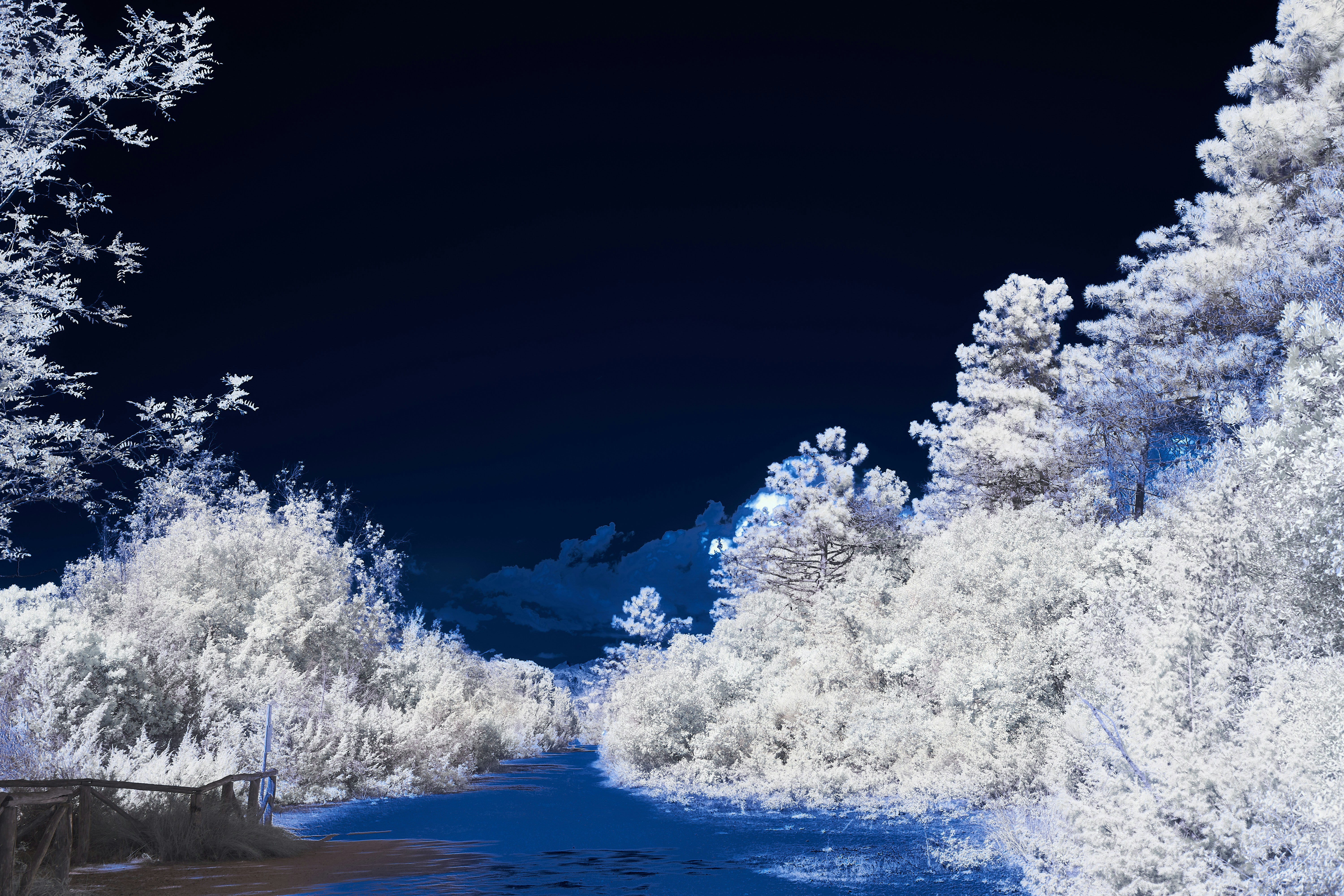 Photo by wolfgang_hasselmann