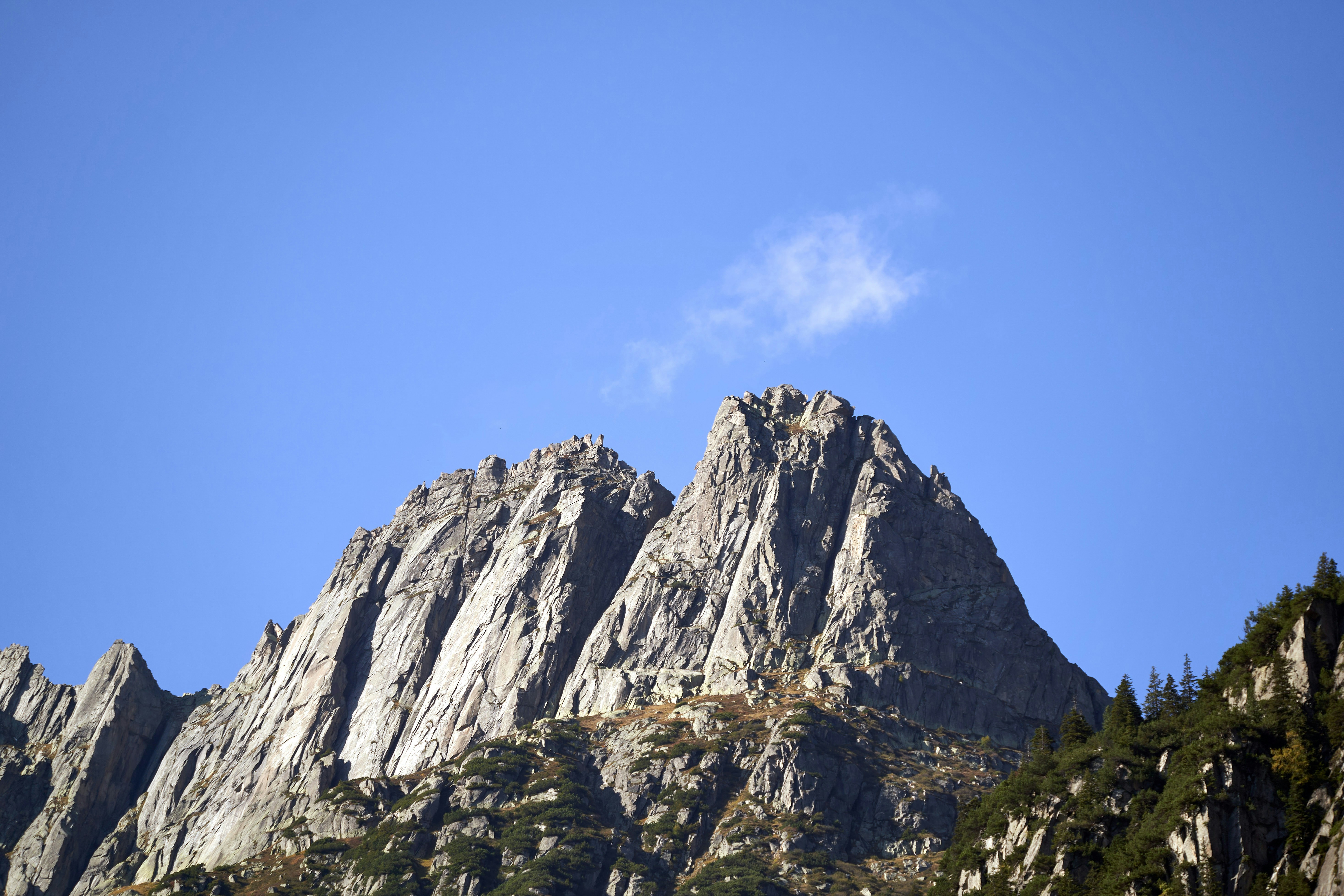 Photo by wolfgang_hasselmann