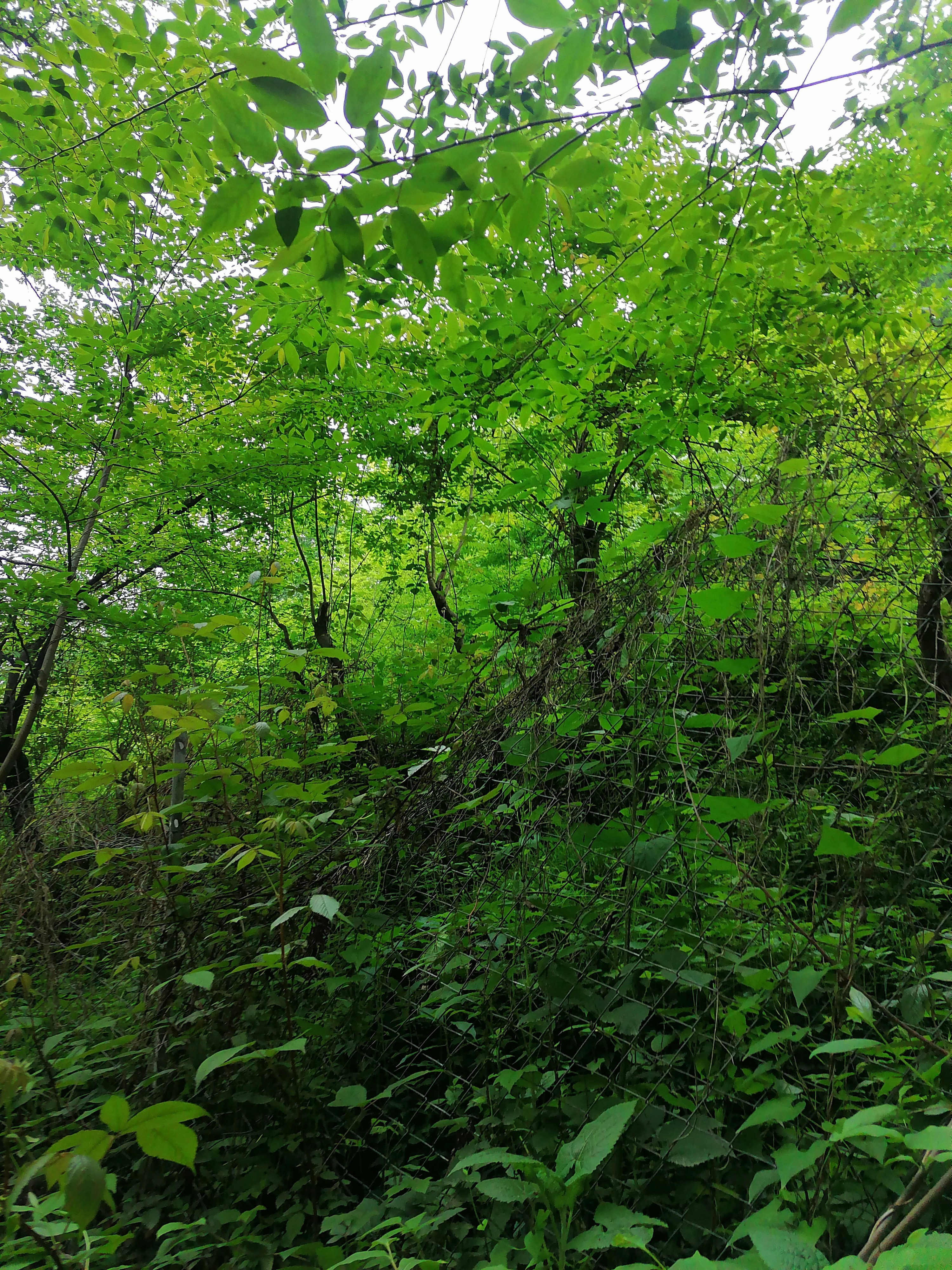 Photo by javad_zarvar