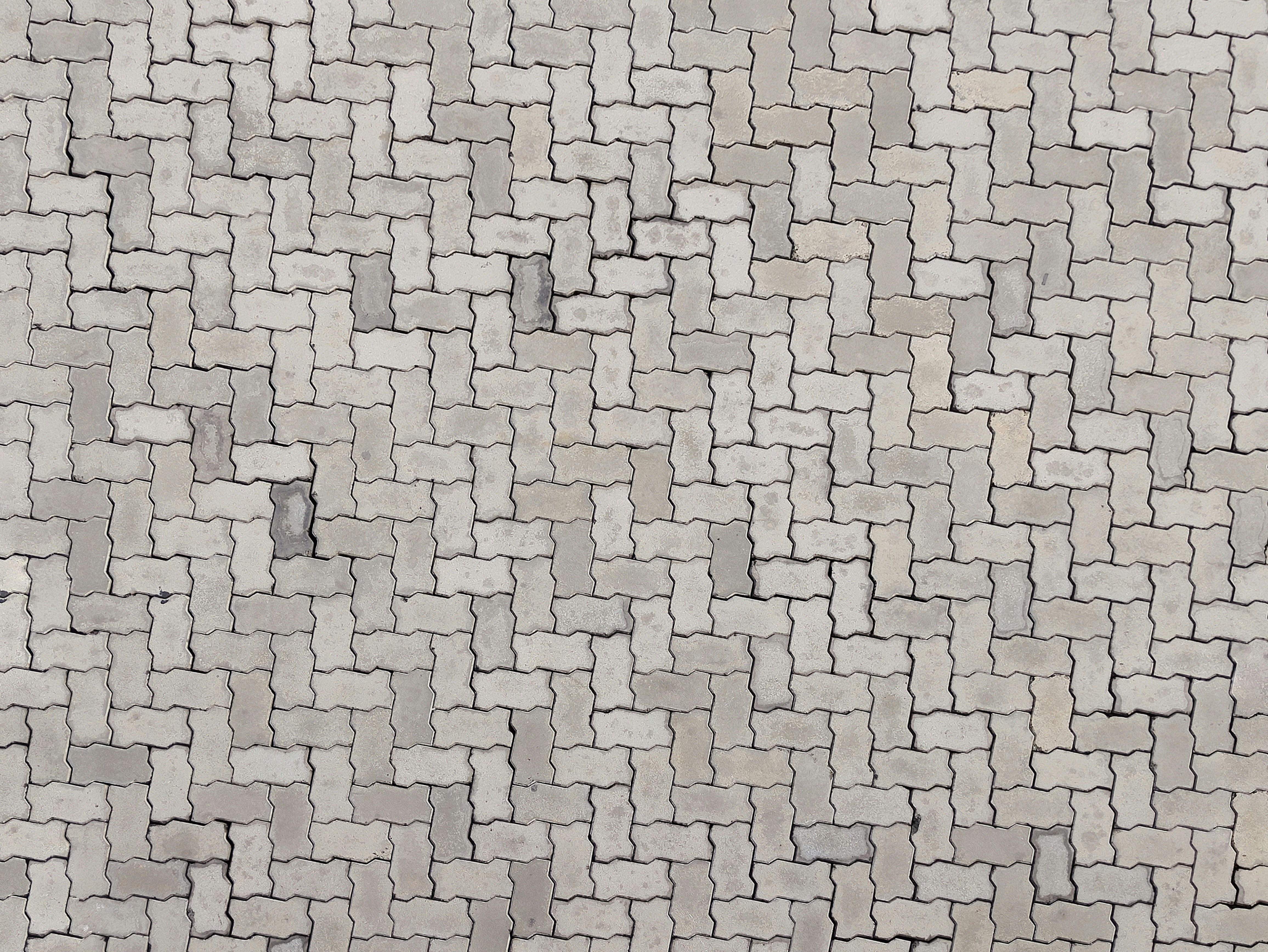 Asphalt Companies Near Me: How to Find the Best Local Paving Contractors