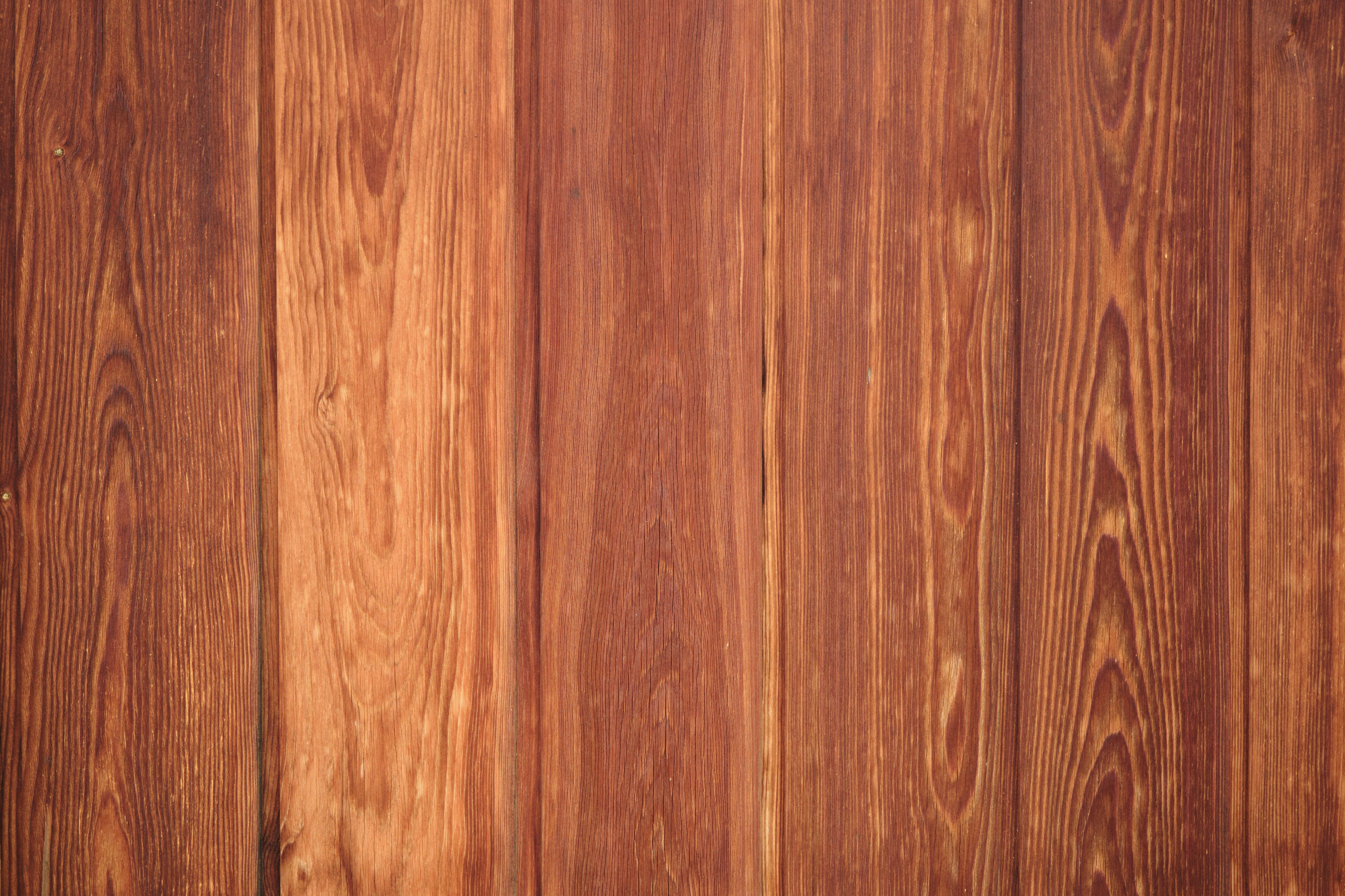 Photo by tassilogroeper