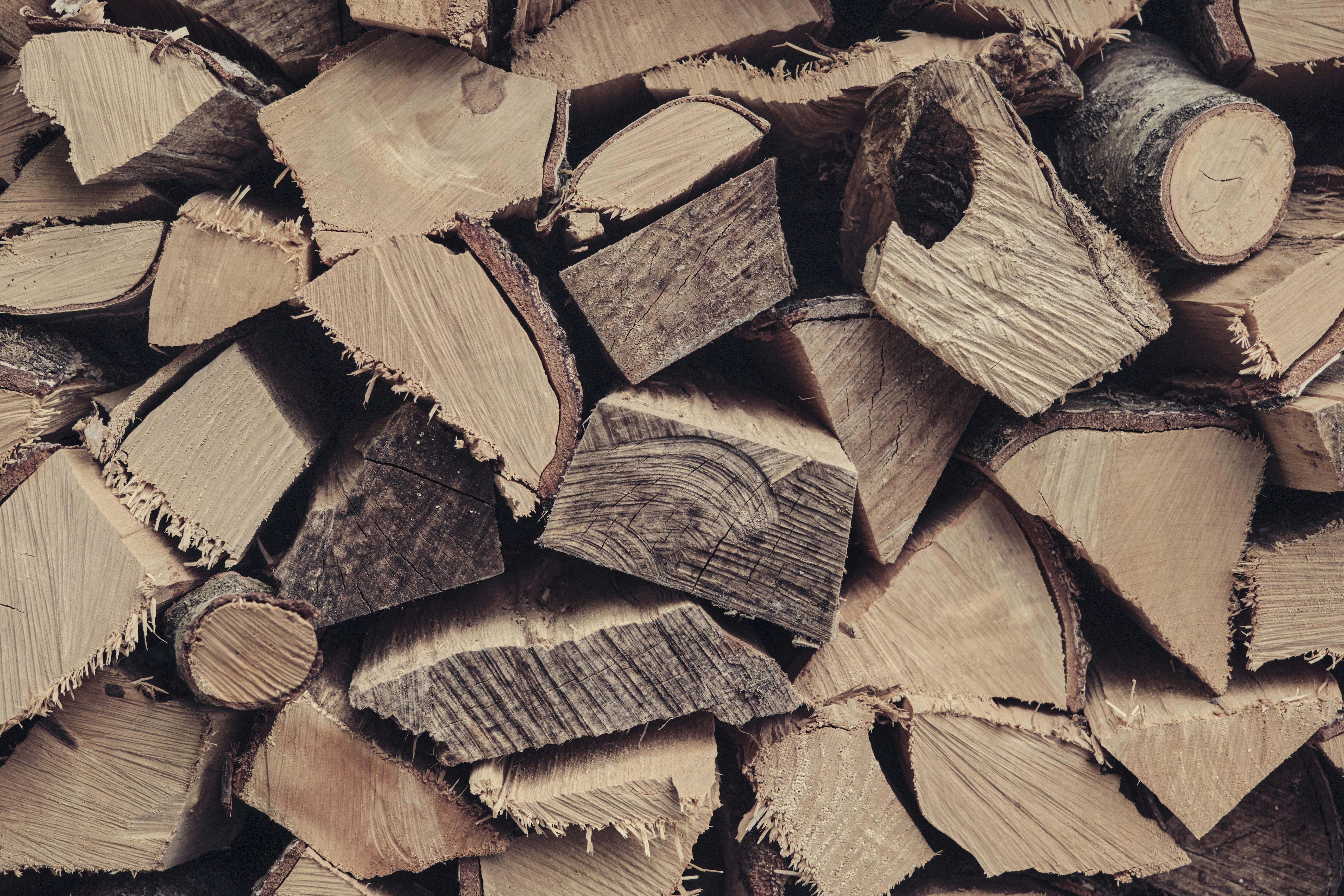 Photo by tassilogroeper