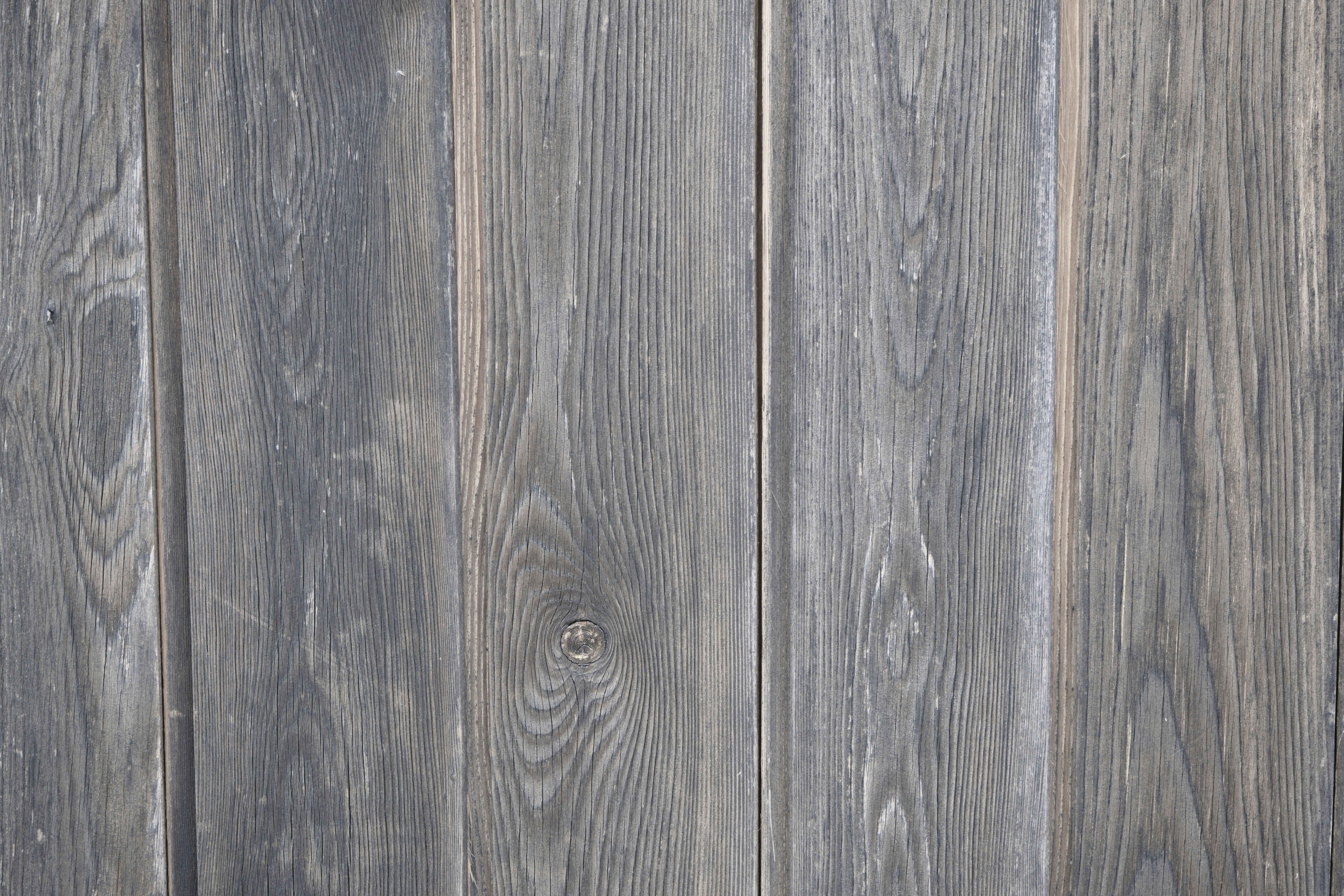 Photo by tassilogroeper