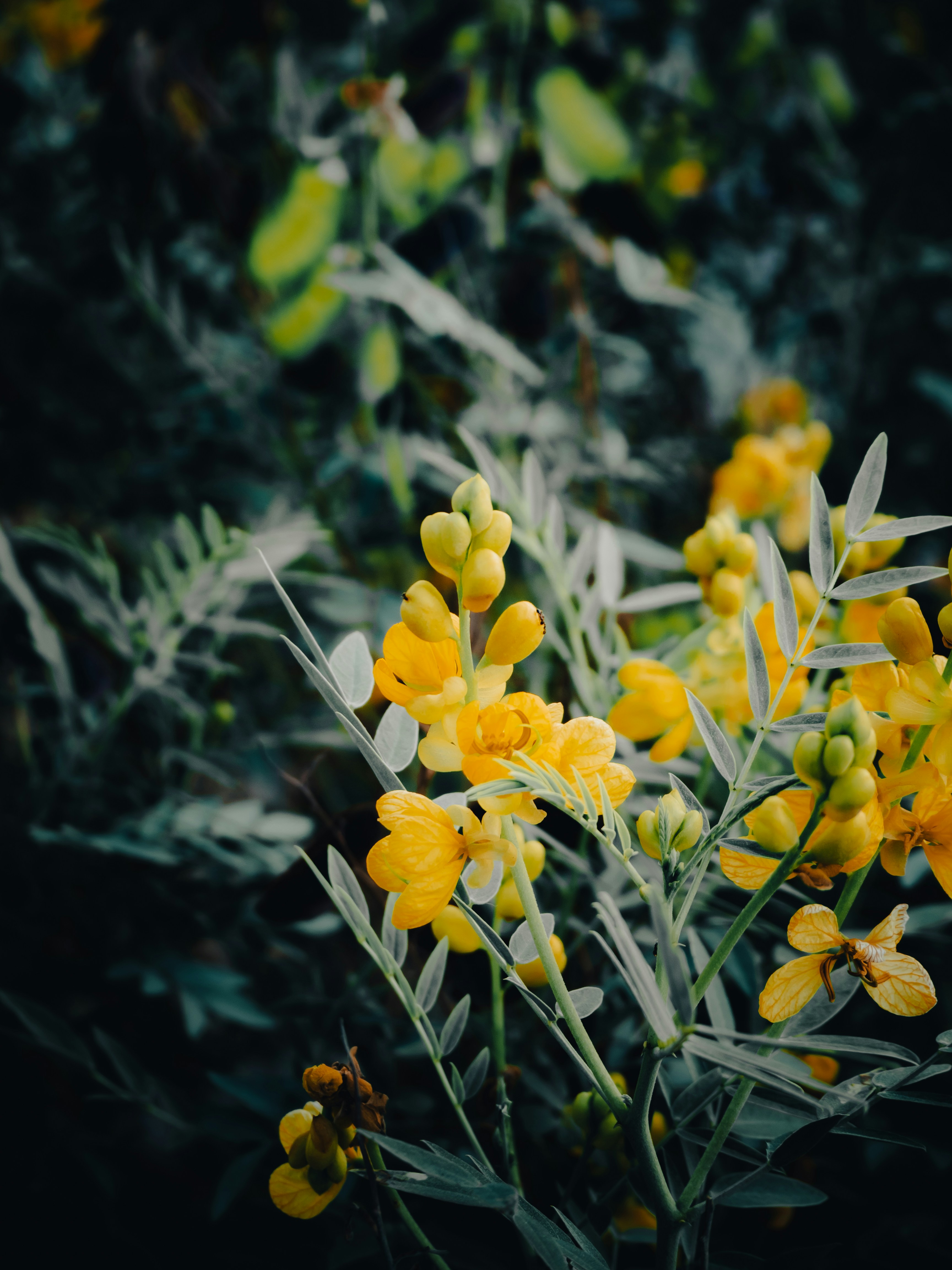 Photo by itadakidesu