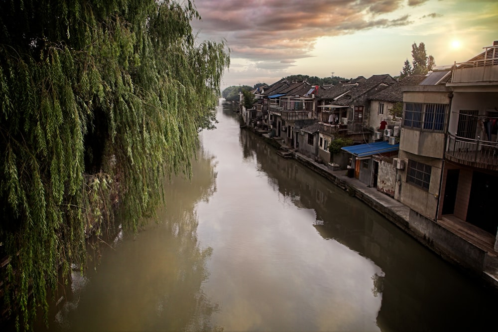 un río con edificios a lo largo de él