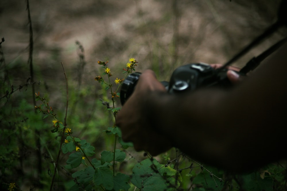a person taking a picture of a flower