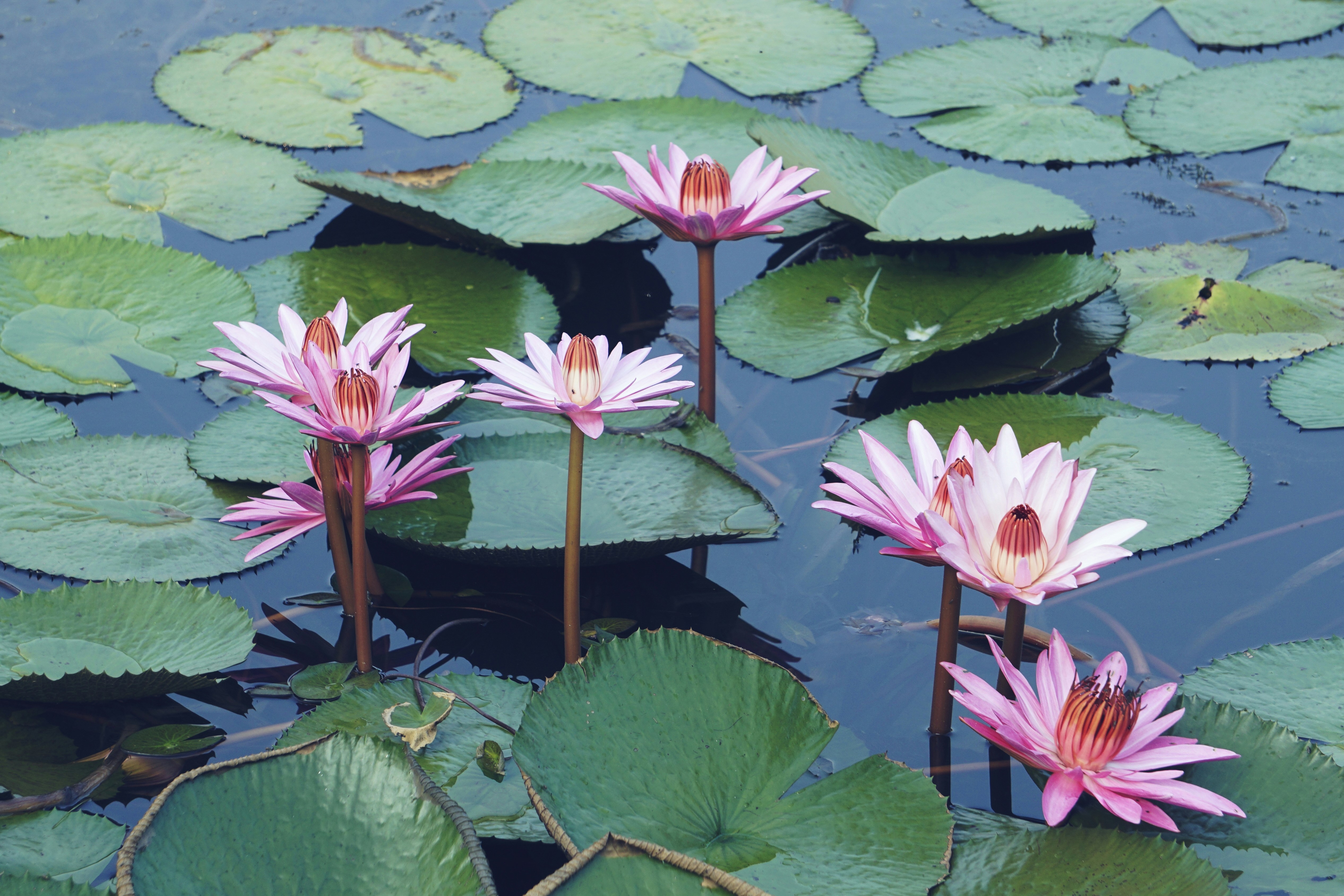 Photo by helen_susan