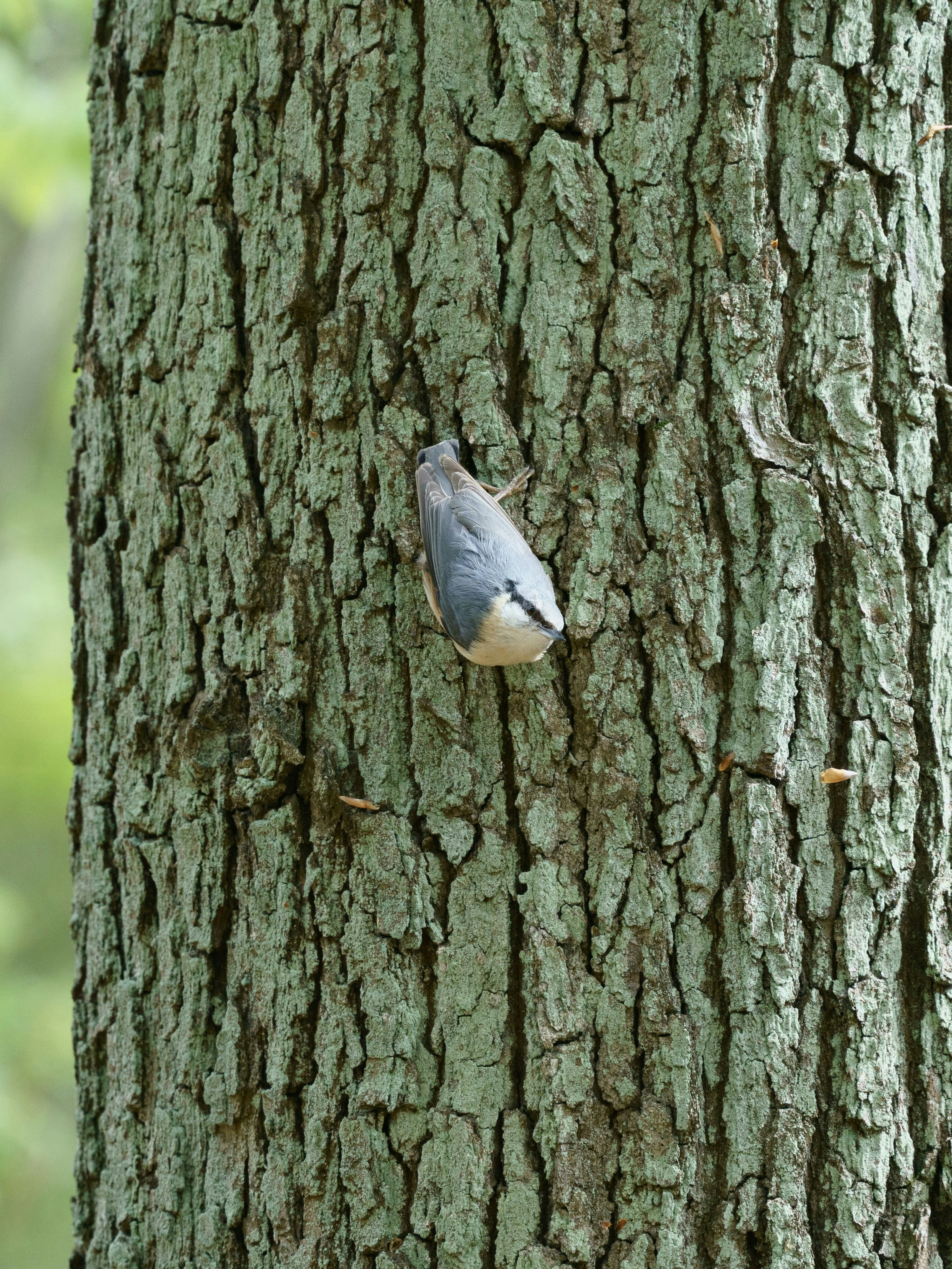 Photo by vmelnyk