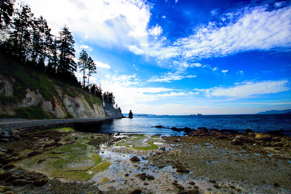 a rocky beach with trees and a body of water in the background