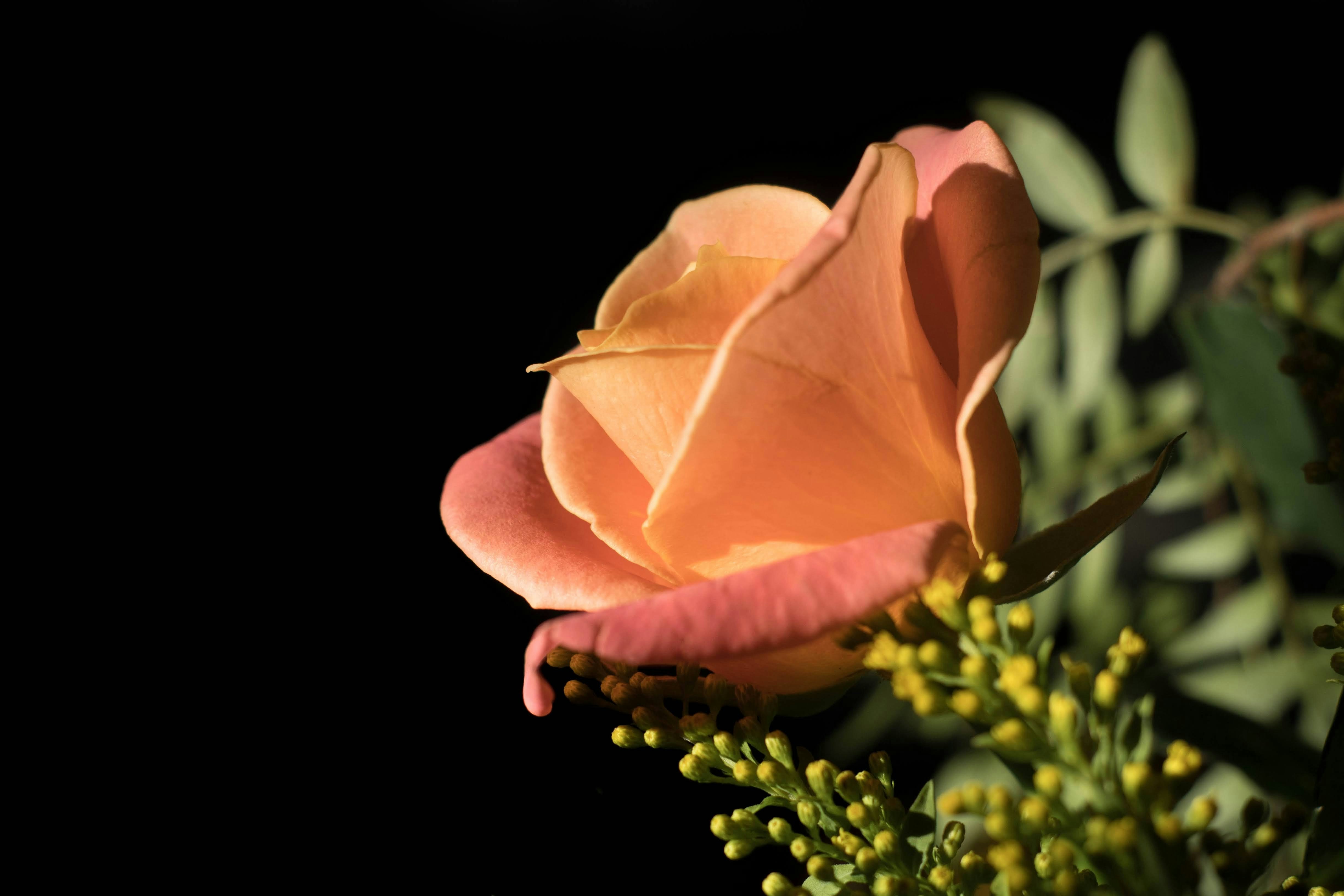 Photo by rspictorial