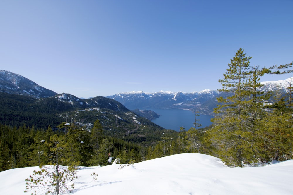 a snowy mountain with trees and a lake in the distance