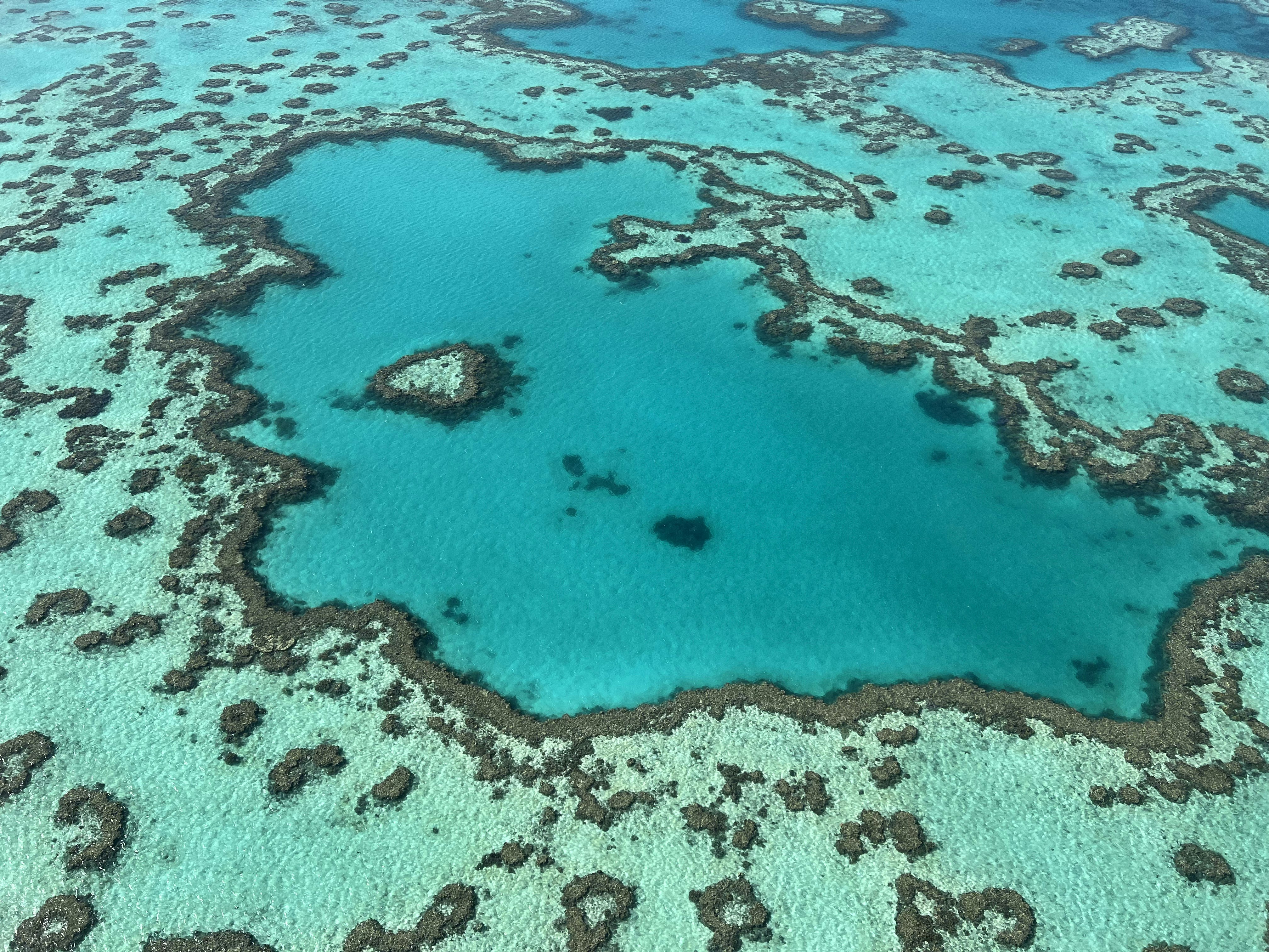 Beach entry point on a reef-fringed island near Cairns, rocks and sand leading into shallow snorkeling water.