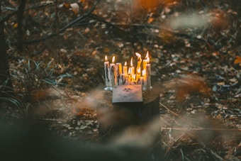 A group of candles are lit on a small, dark wooden surface in a forest setting. The candles are surrounded by fallen leaves, and there is a book with a star symbol on the cover placed among them. The surroundings are dimly lit, contributing to a mysterious or eerie atmosphere.