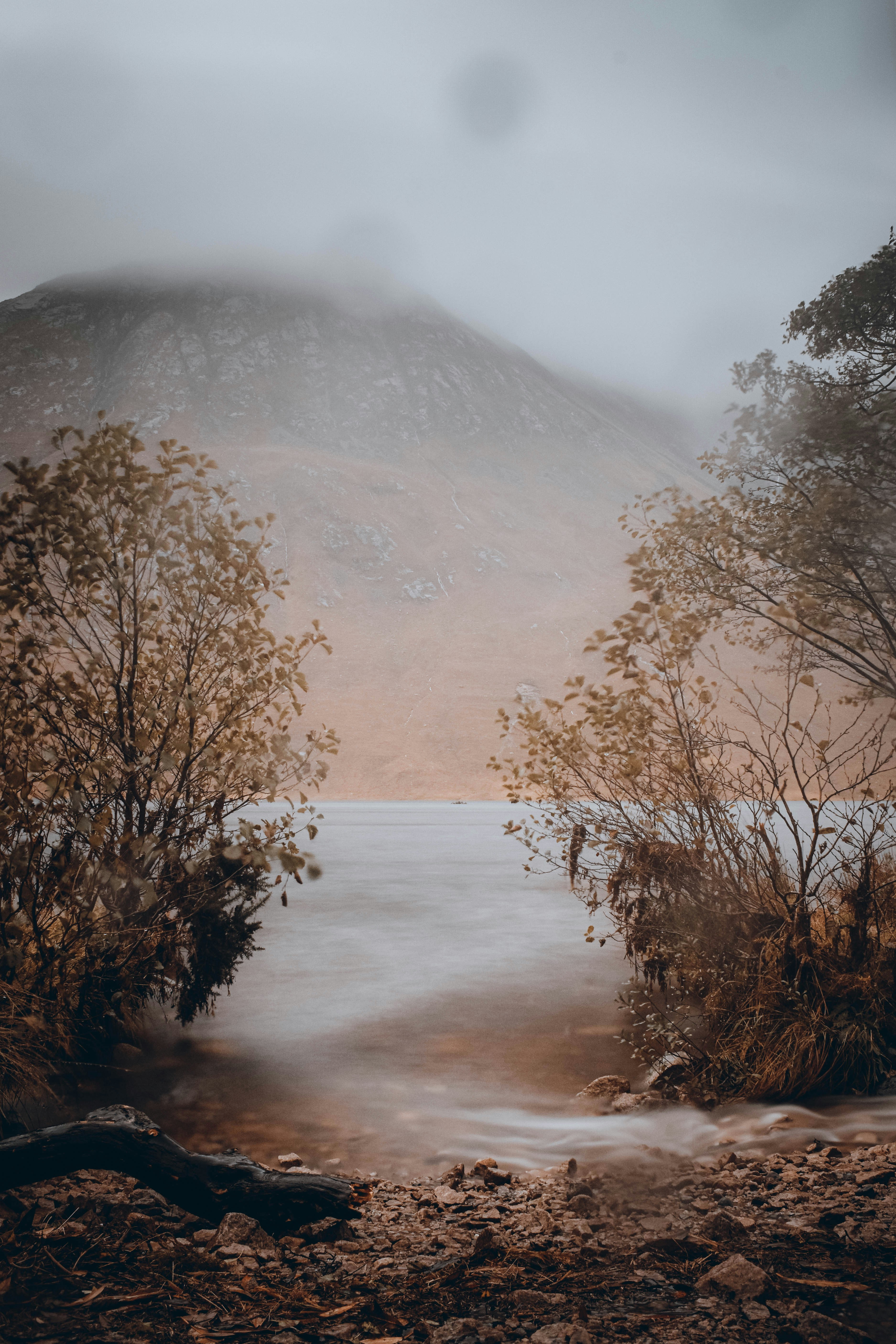 a river with trees and fog