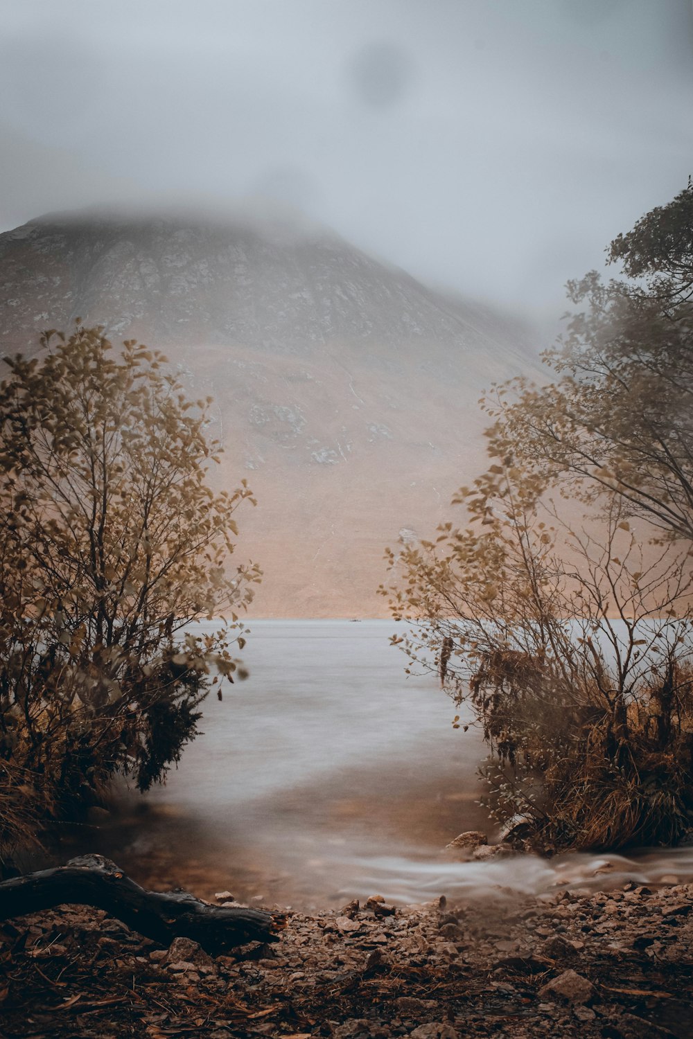 a river with trees and fog