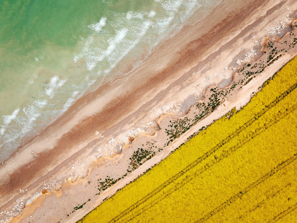 a beach with sand and water