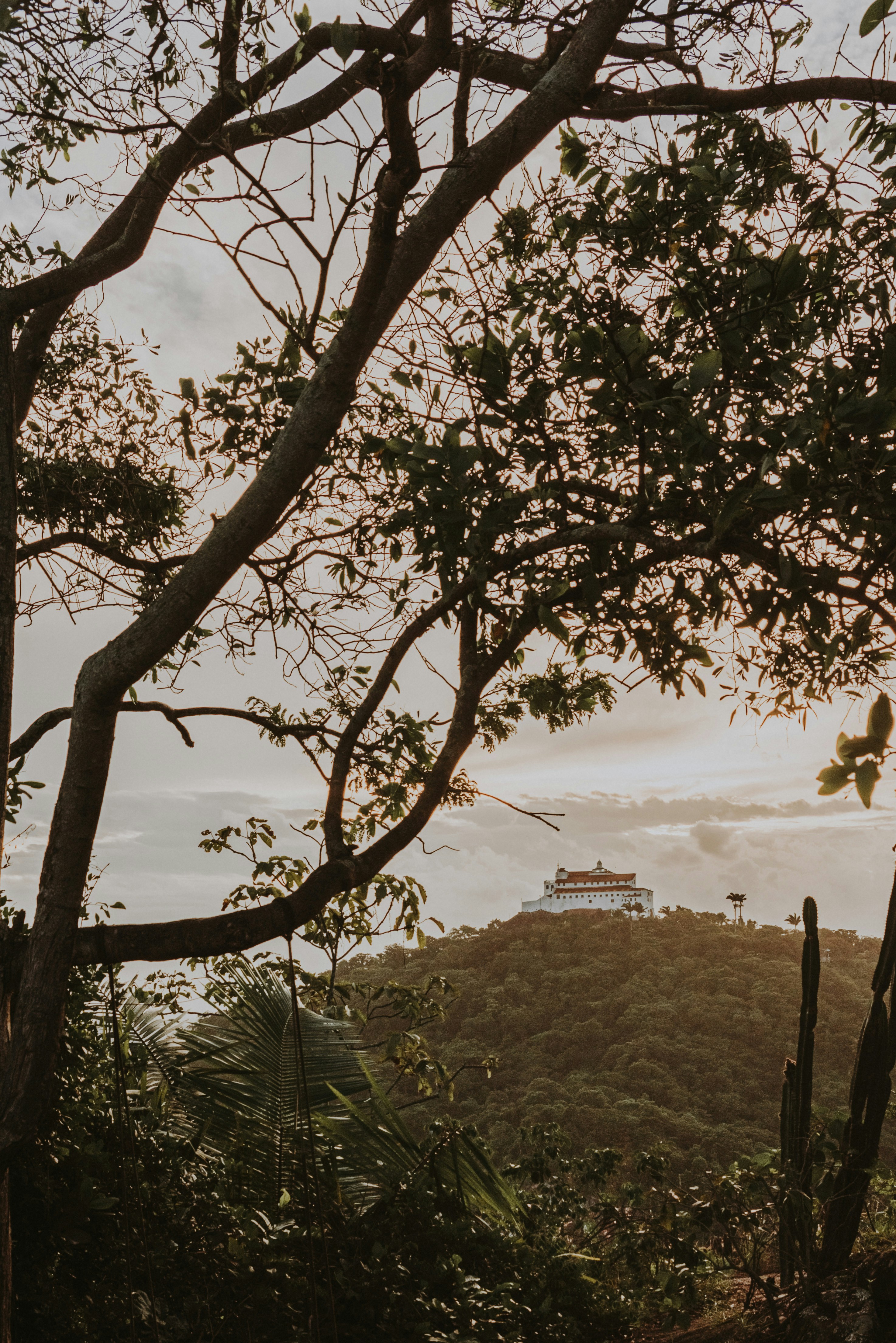 Photo by gerginphotography