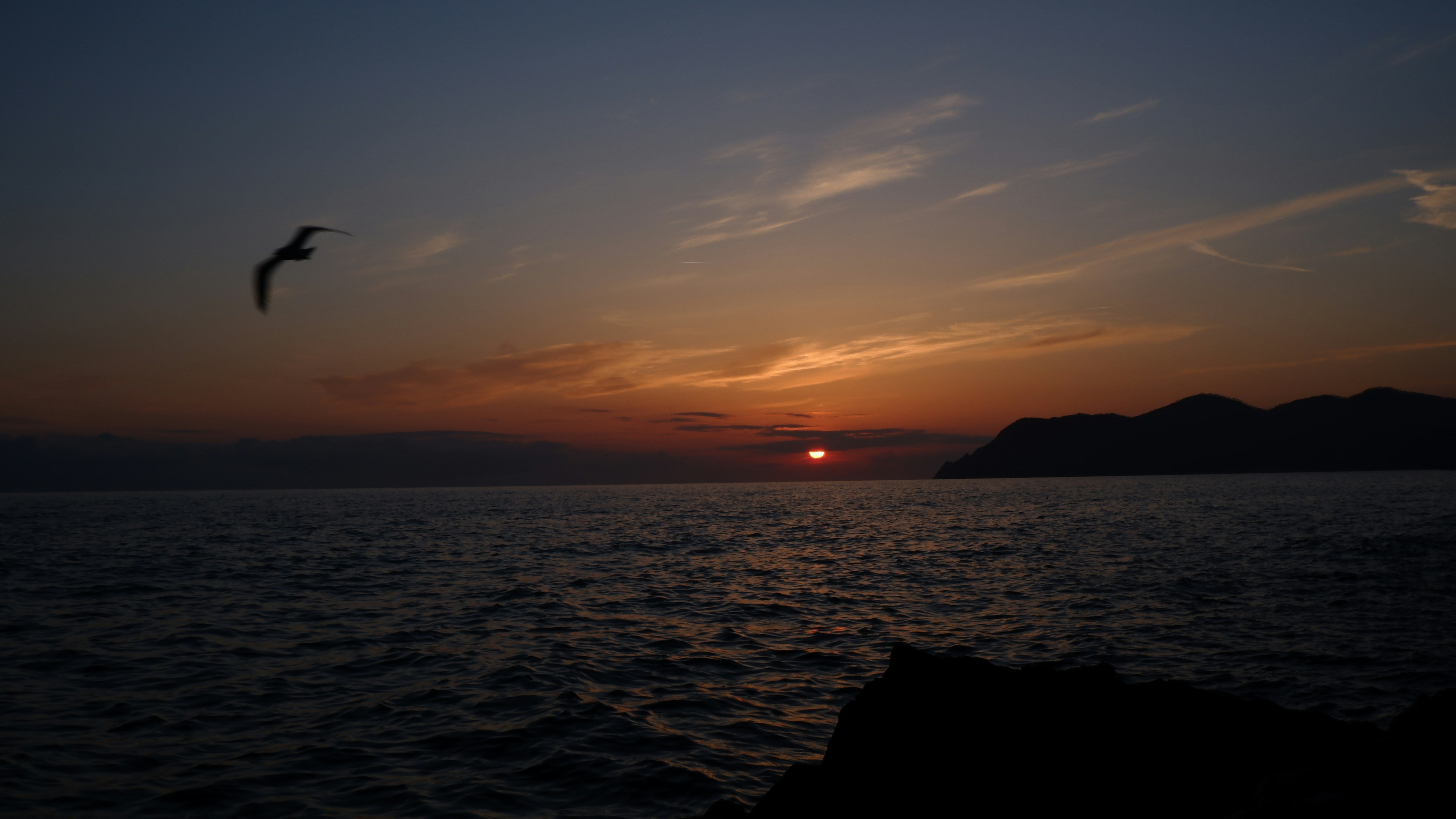 Photo by giacomopellegrino