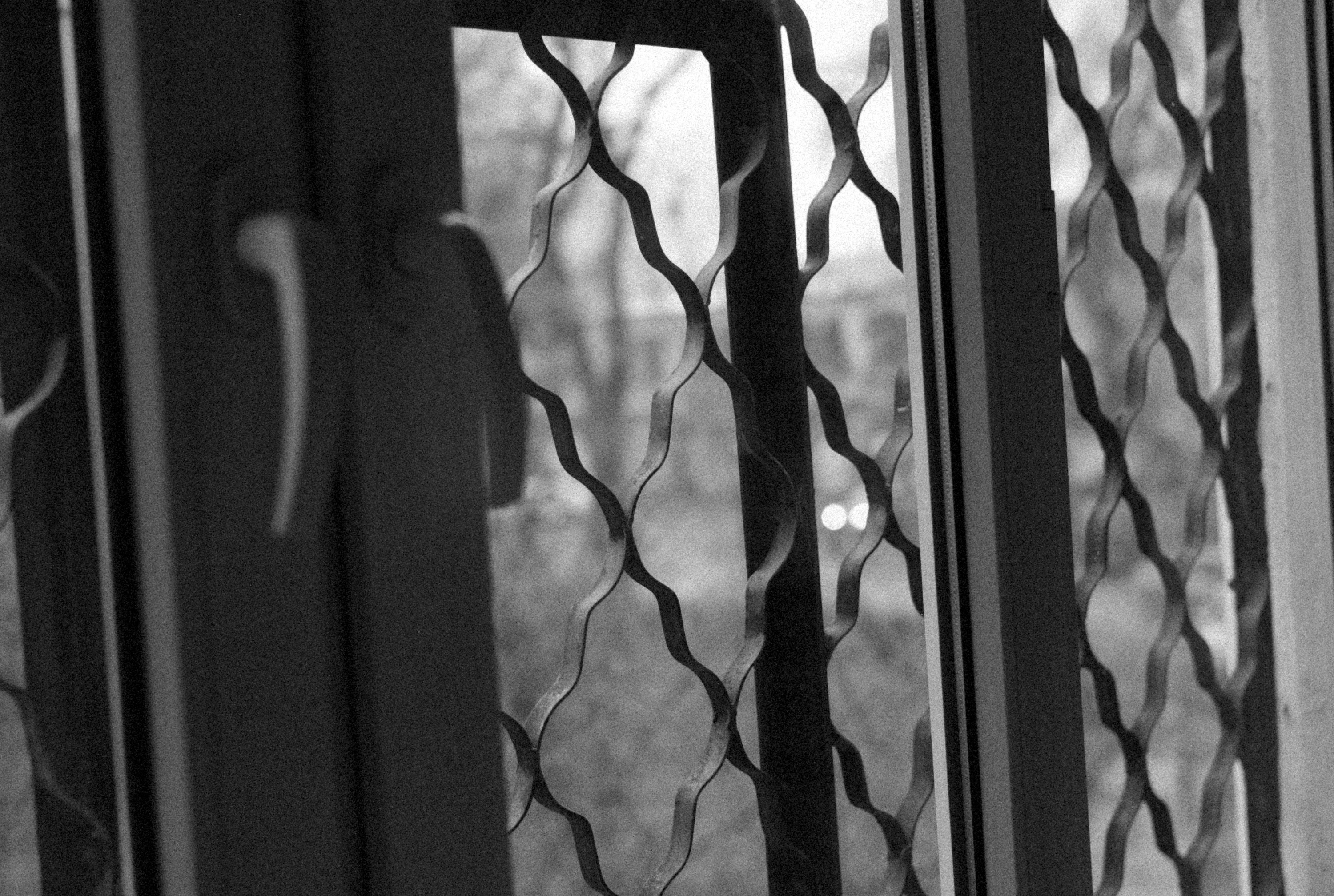 Photo by alexeydemidov