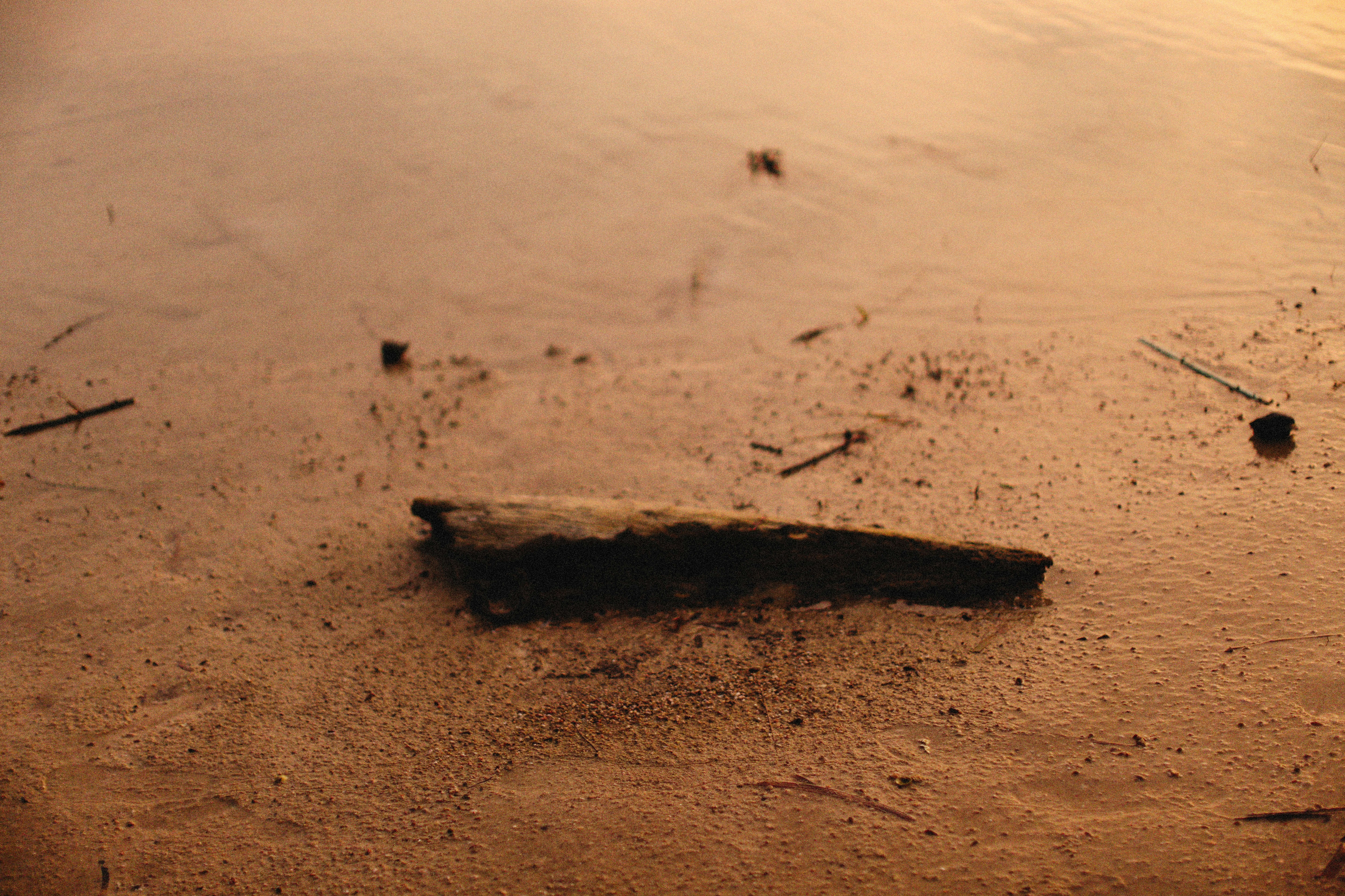 Photo by alexeydemidov