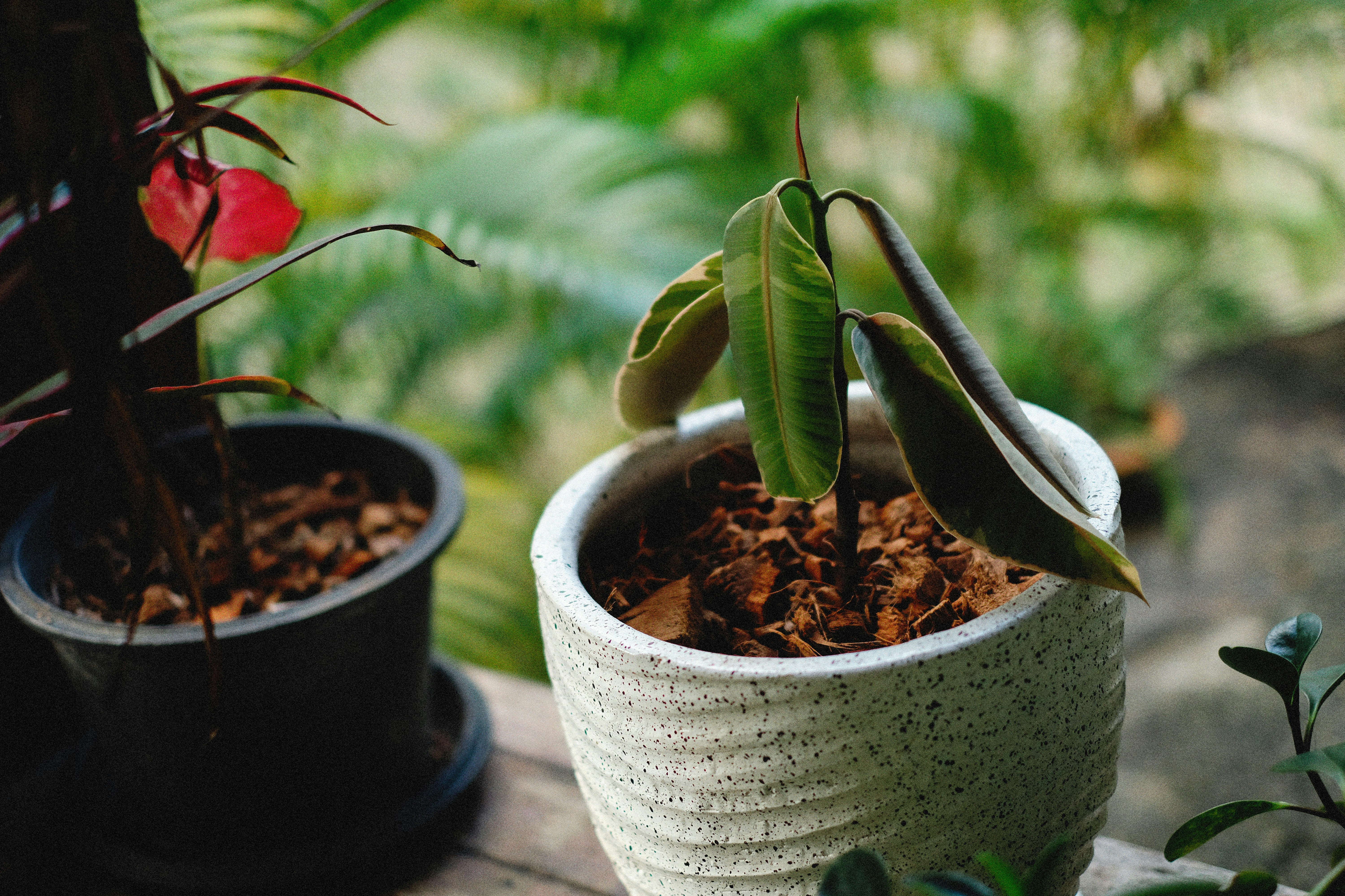 Photo by alexeydemidov