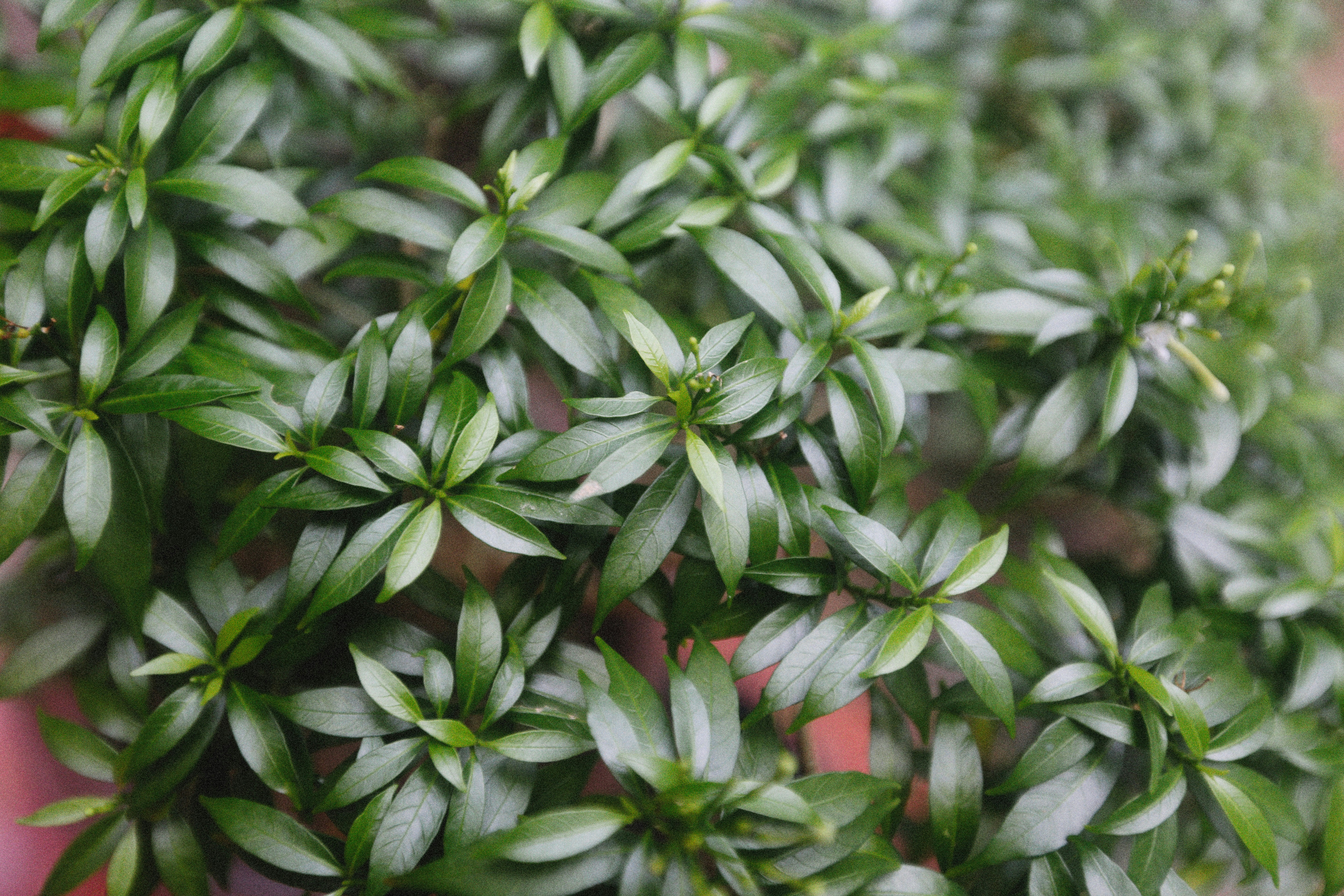 Photo by alexeydemidov