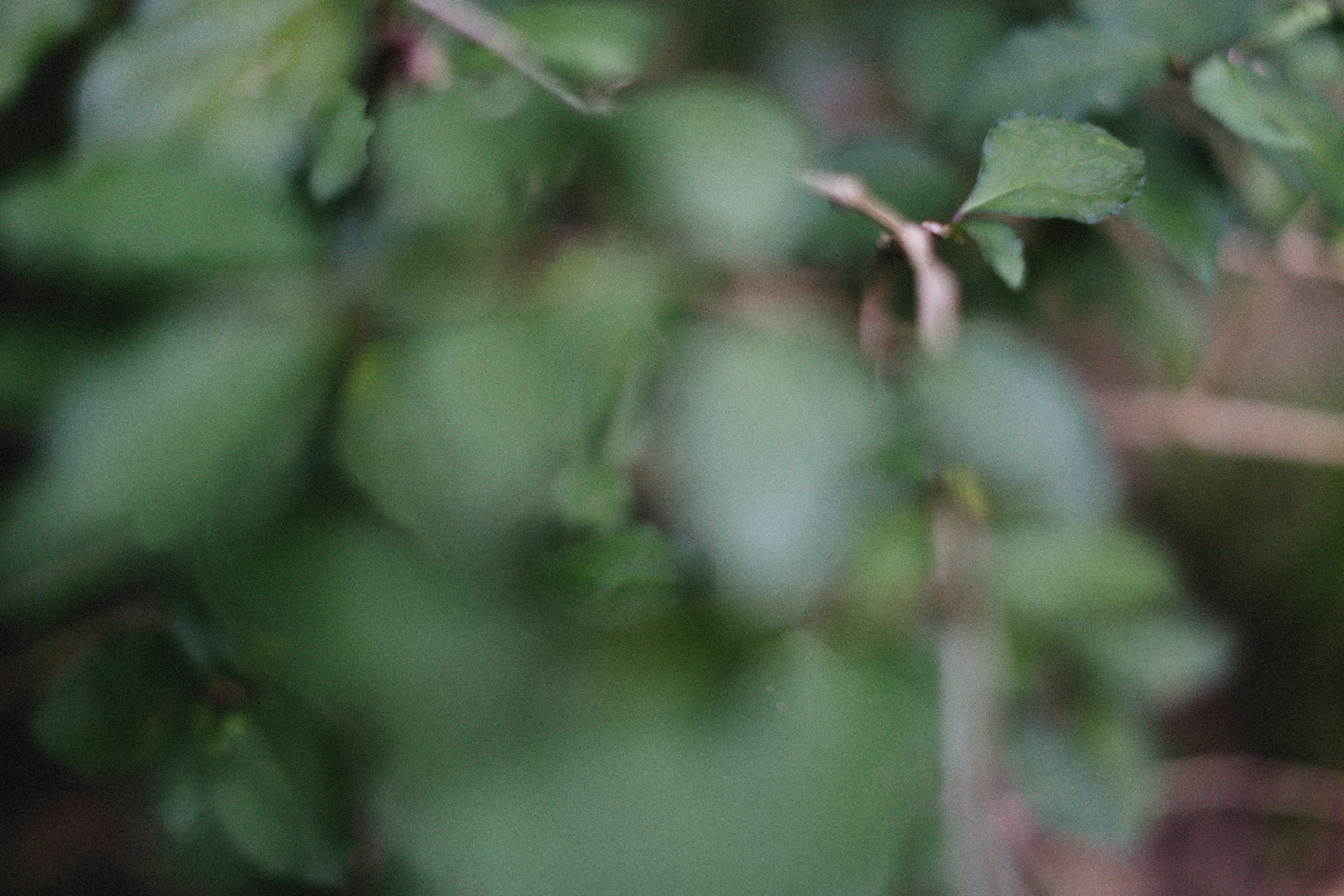 Photo by alexeydemidov