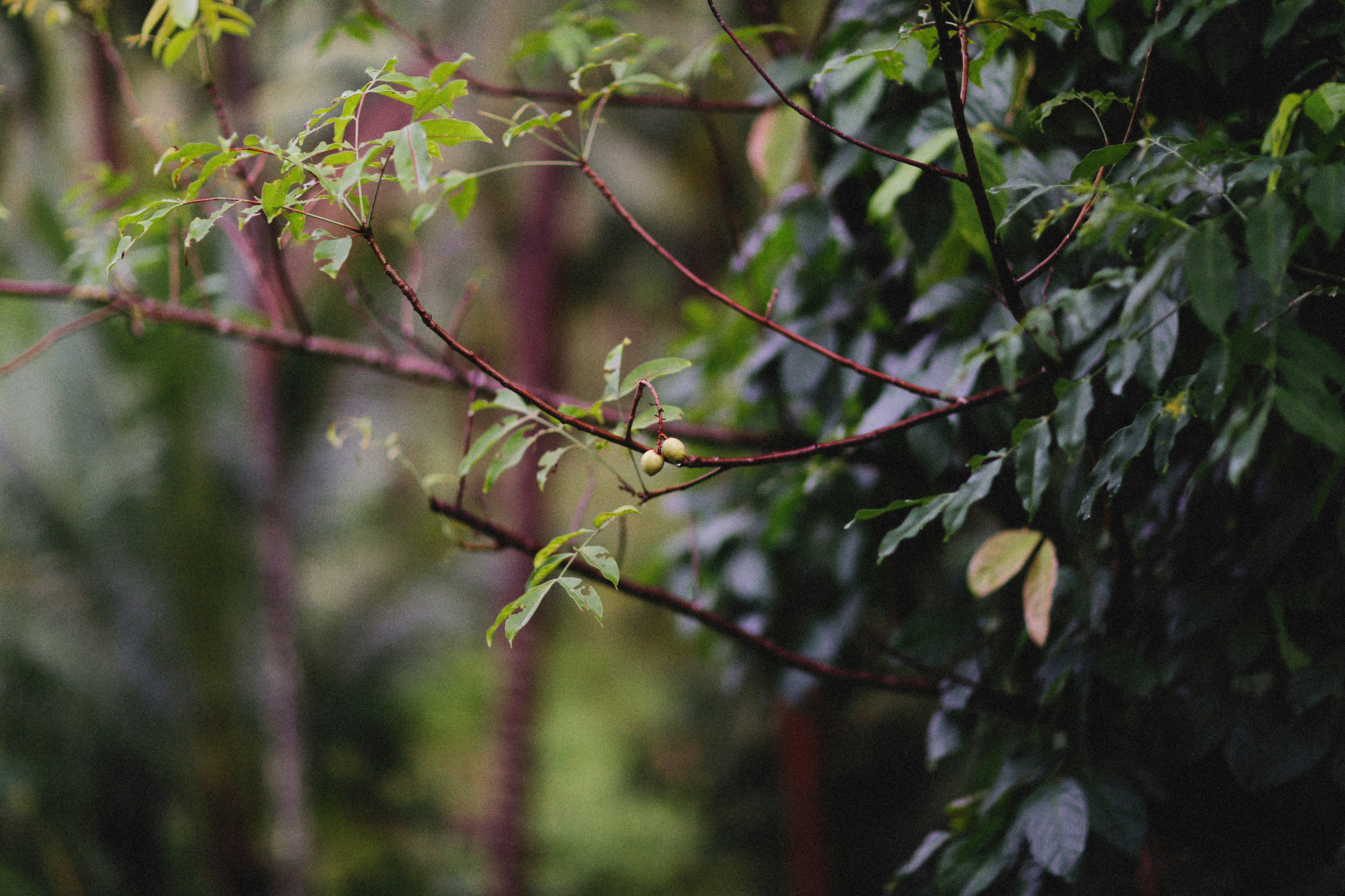 Photo by alexeydemidov