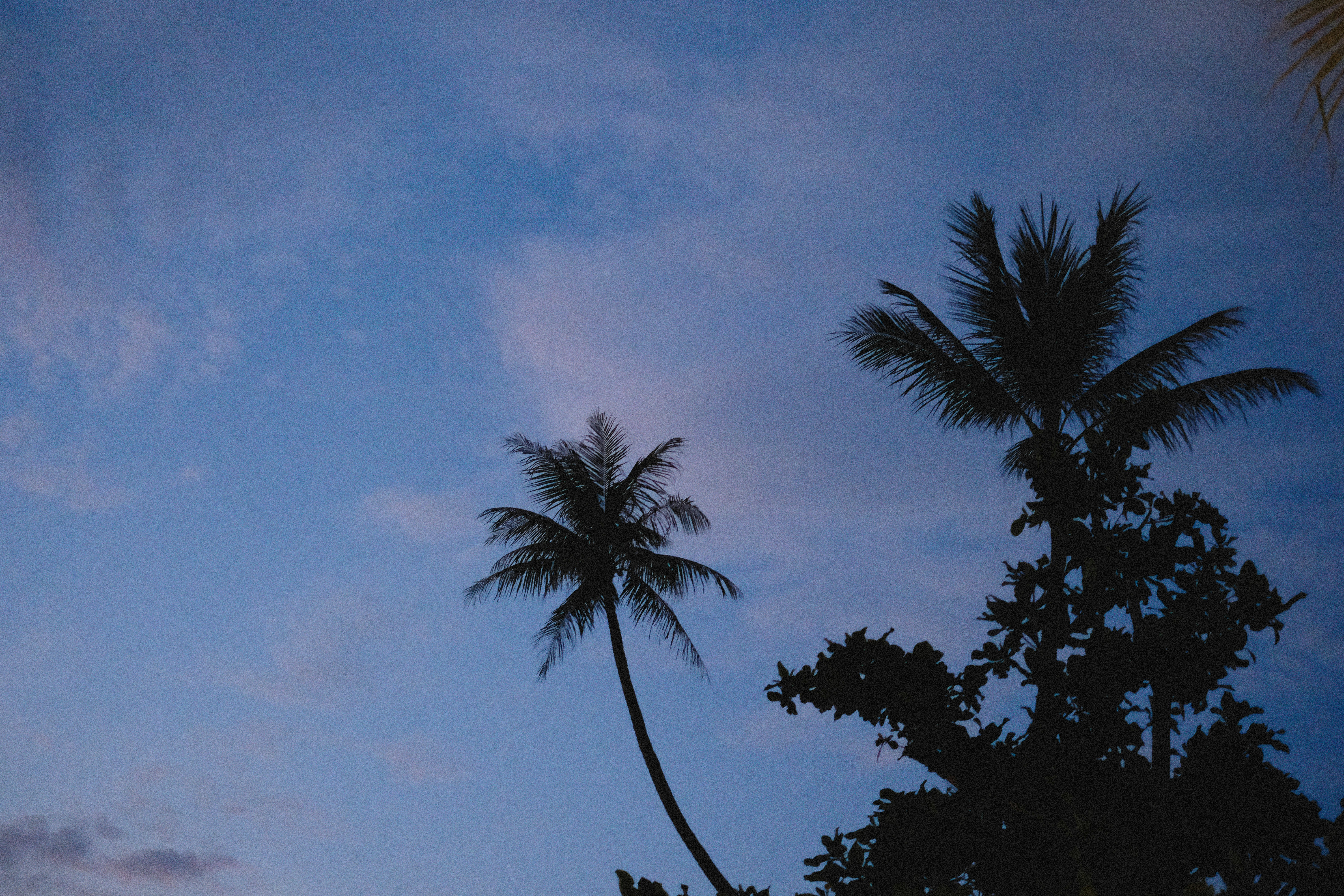 Photo by alexeydemidov