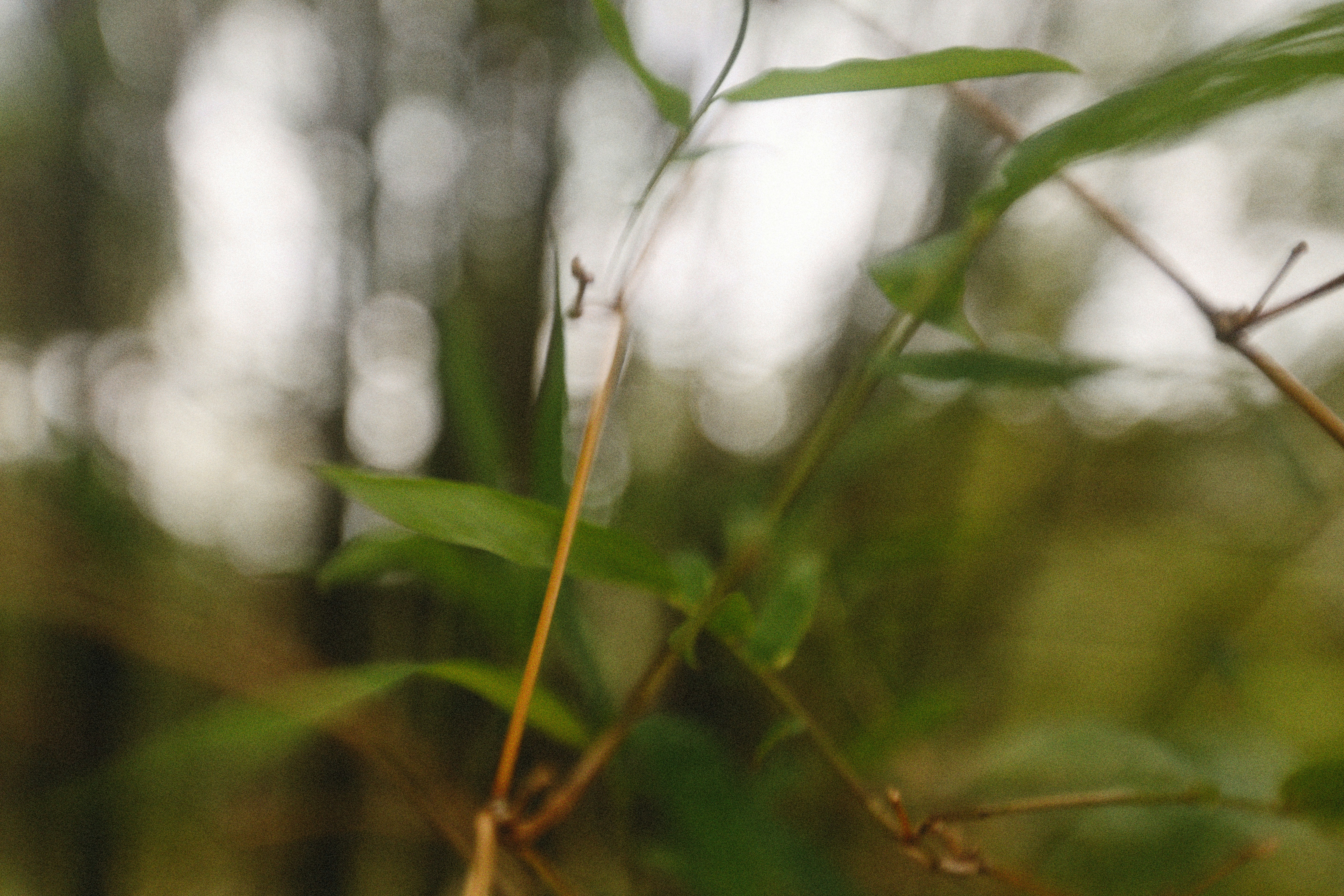 Photo by alexeydemidov