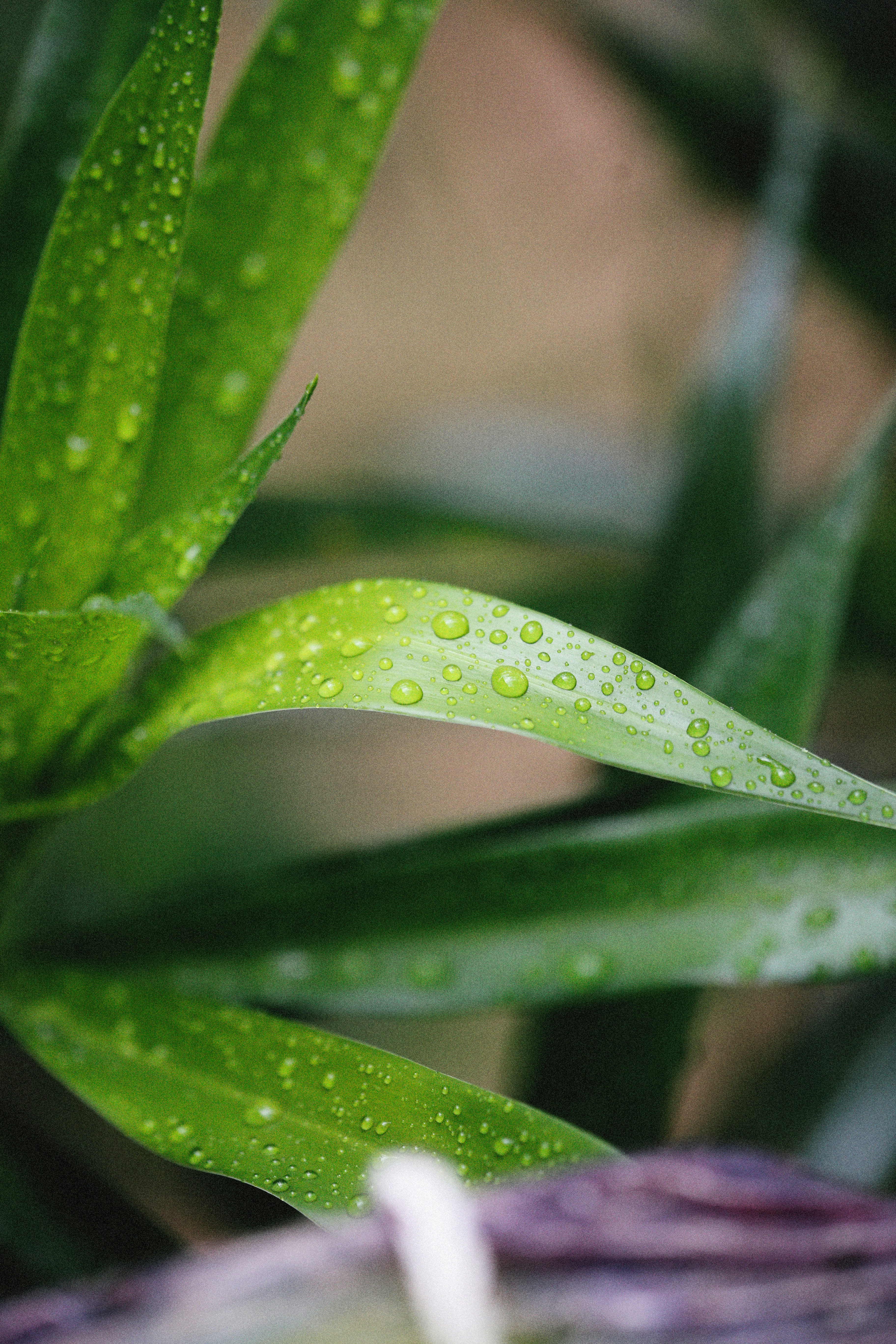 Photo by alexeydemidov