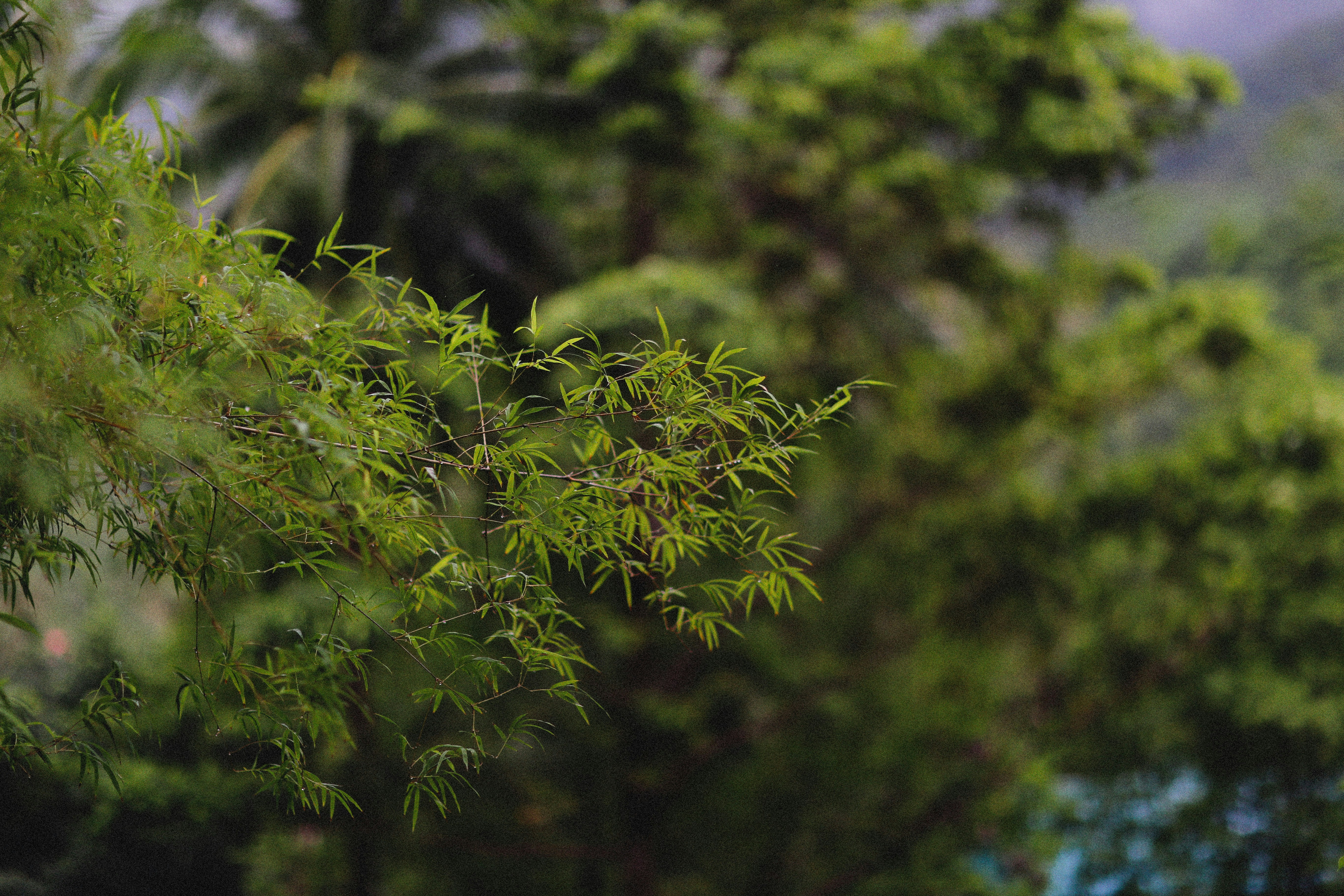 Photo by alexeydemidov