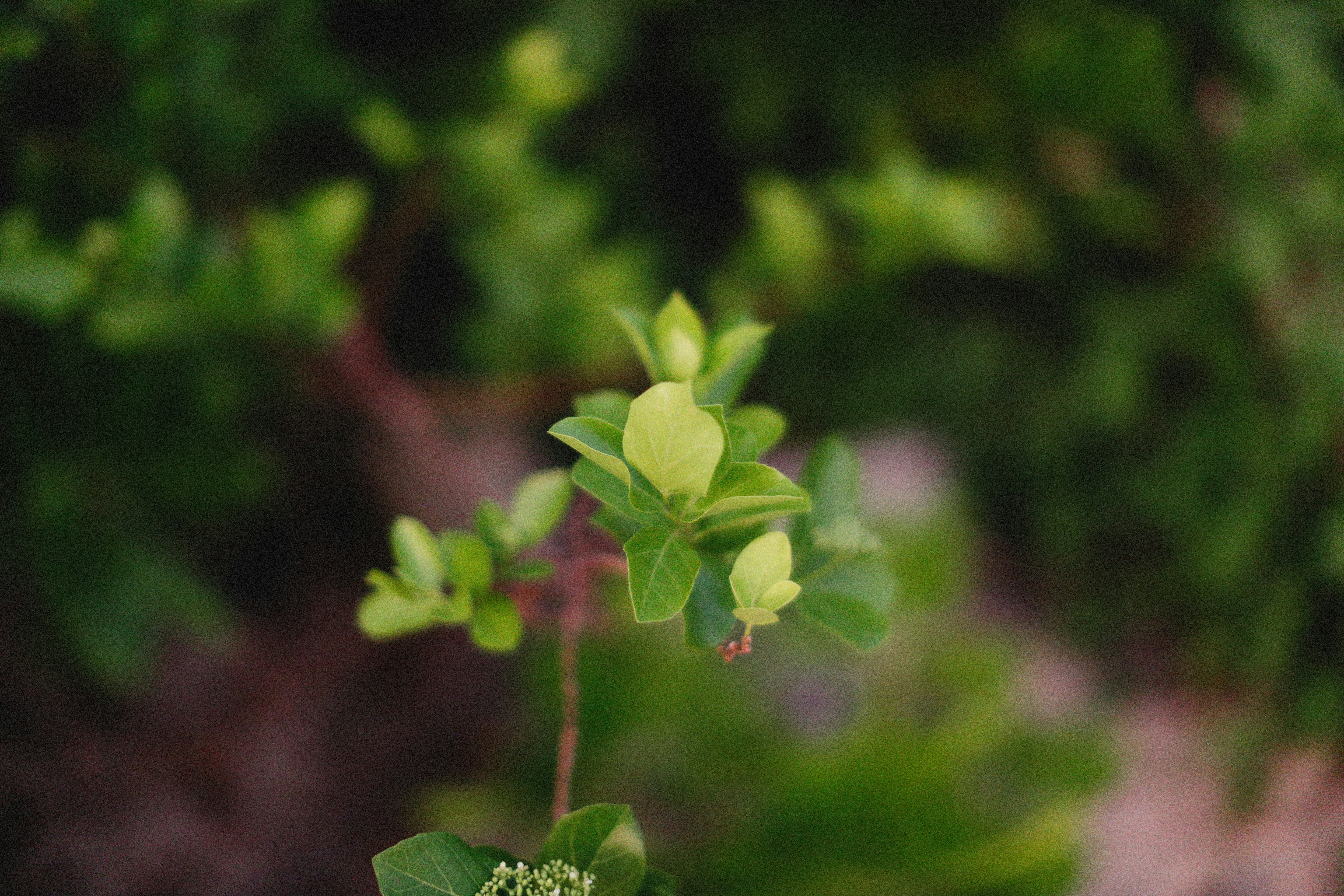 Photo by alexeydemidov