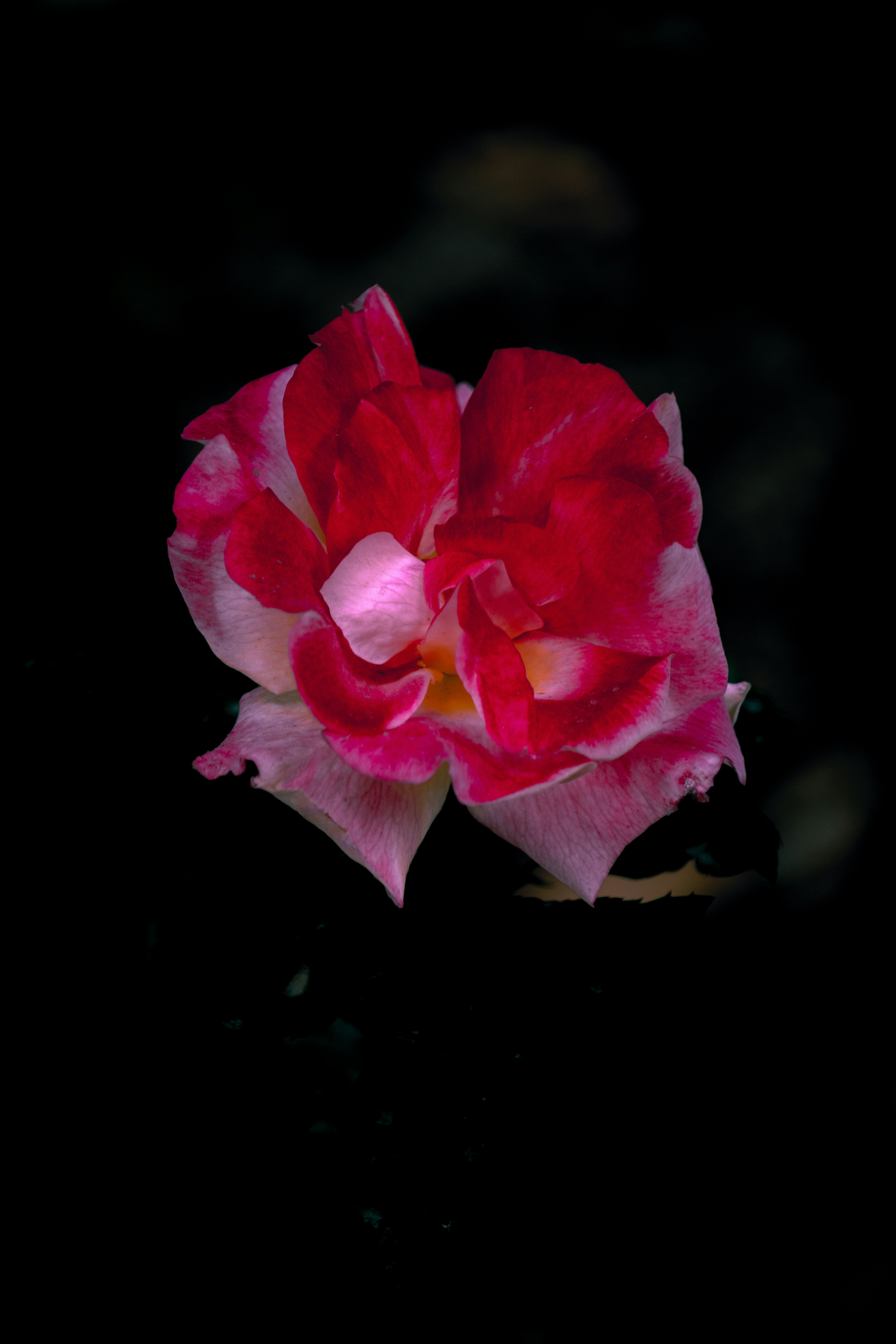 Photo by sinabahar76