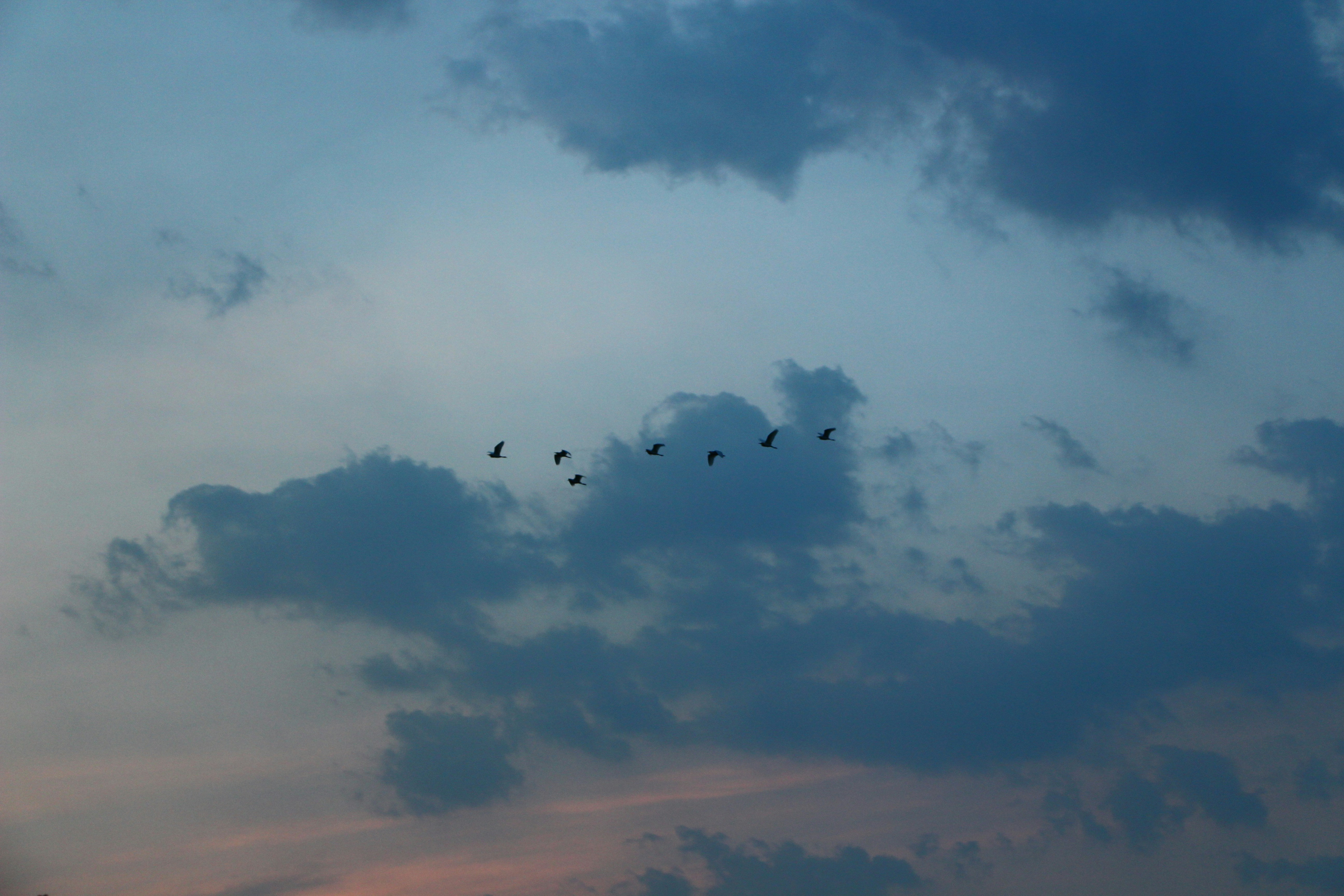 Photo by plutoflyer