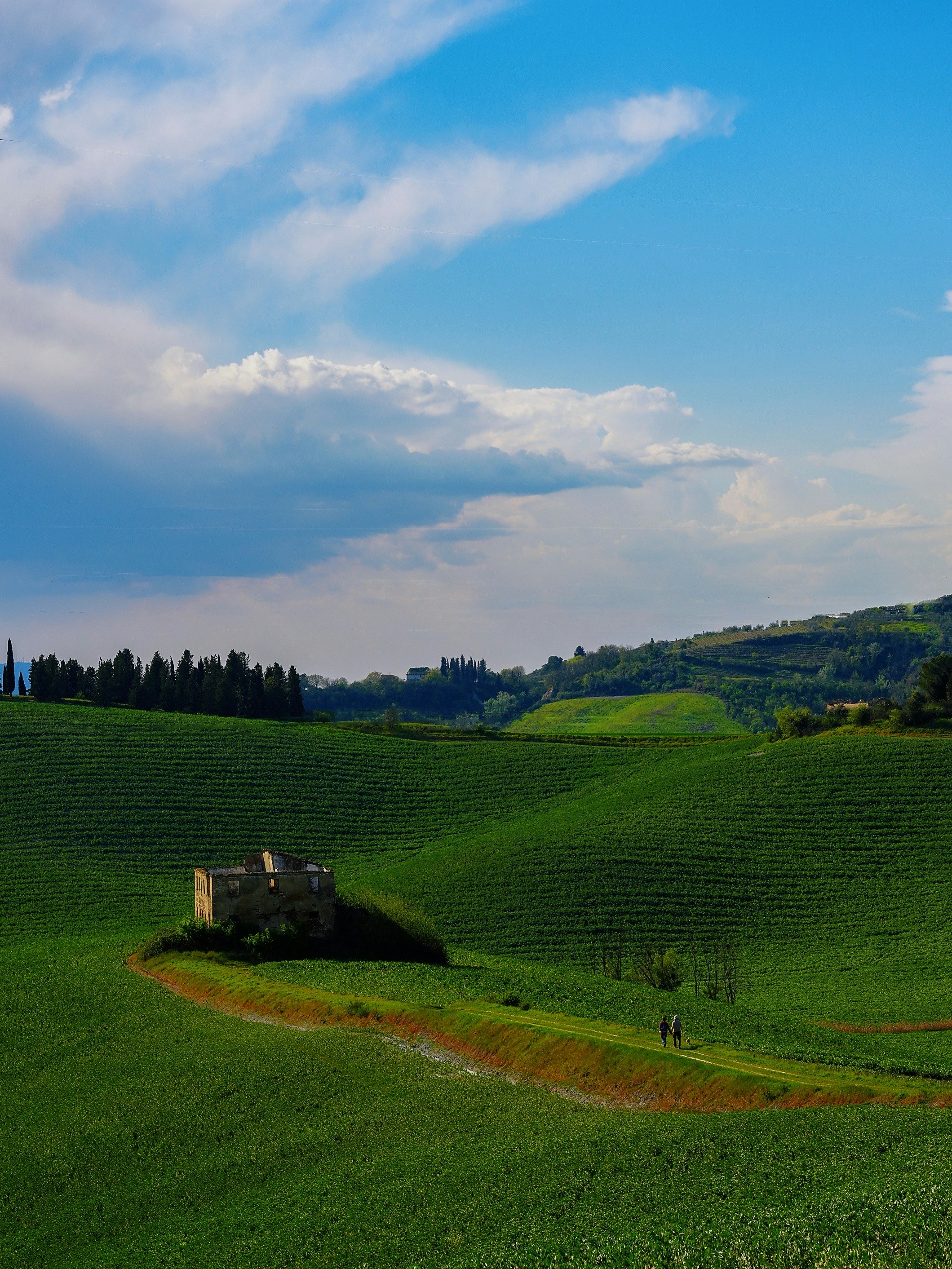 Photo by qq1609792871