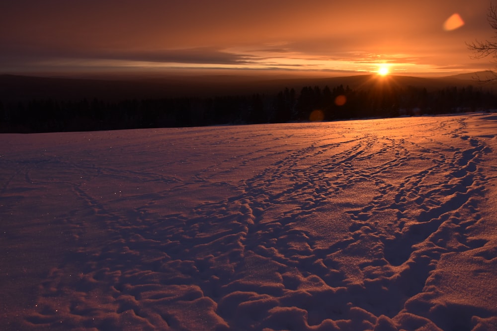 ein verschneites Feld mit Bäumen und einem Sonnenuntergang