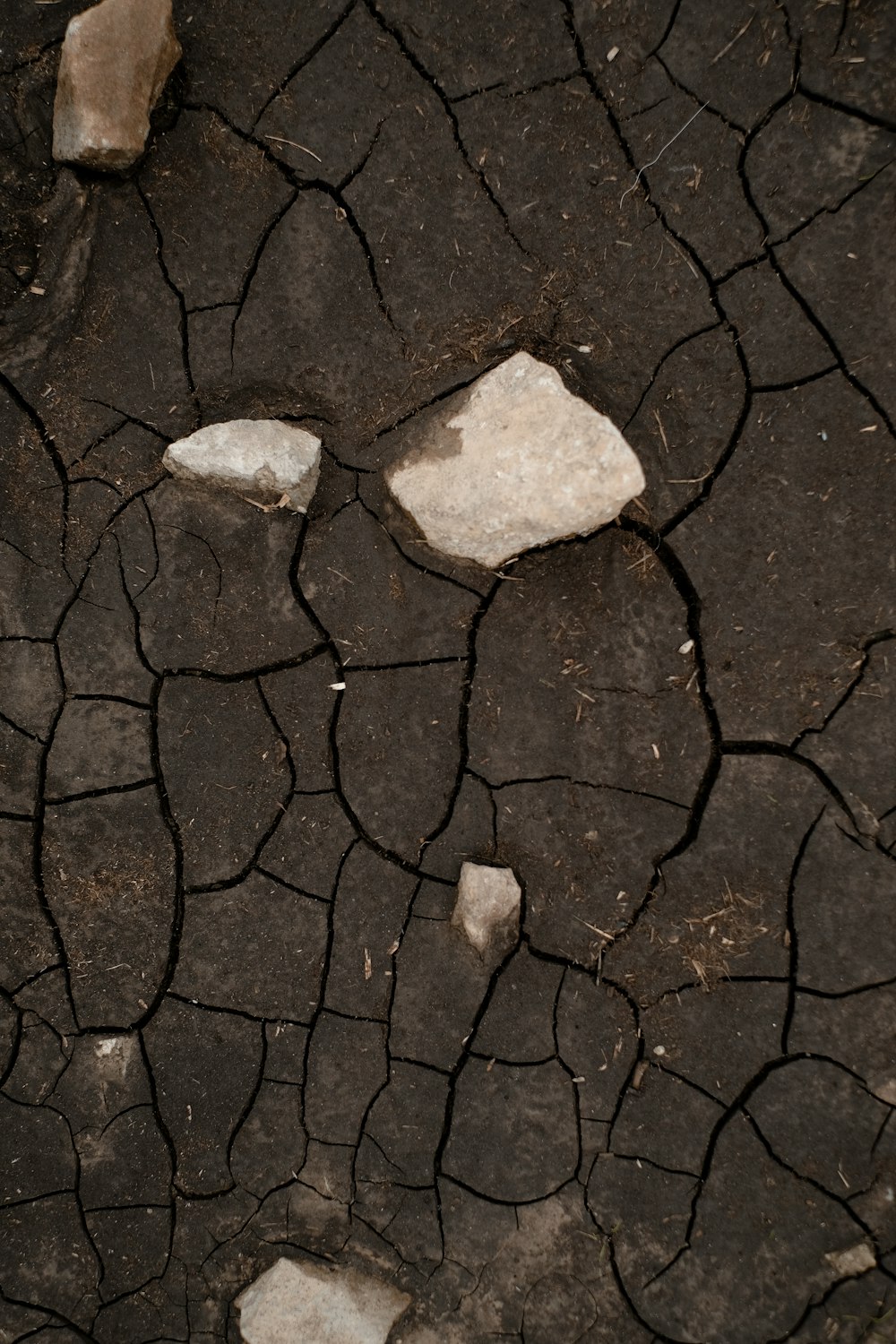 un suelo seco agrietado