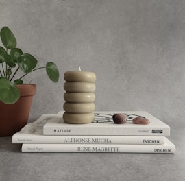A stack of three art books, including titles on Matisse, Alphonse Mucha, and René Magritte, is arranged on a textured gray surface. A beige, stacked rings candle sits atop the books. A small potted plant with round green leaves is positioned to the left. Two polished stones in shades of brown and pink are placed on the top book.