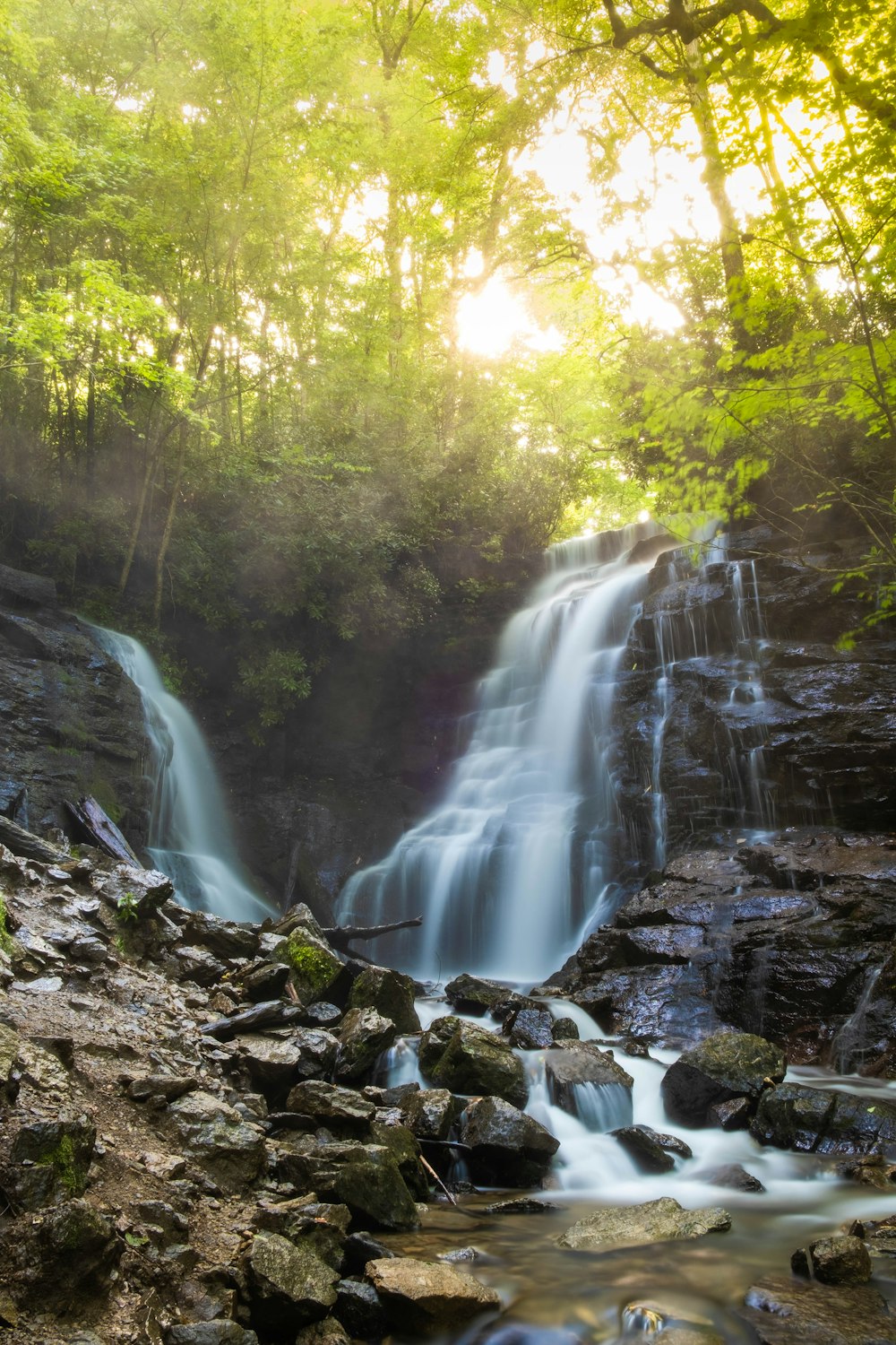 a waterfall in a forest