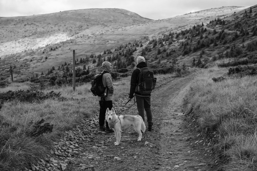 a couple of people walking a dog on a dirt road