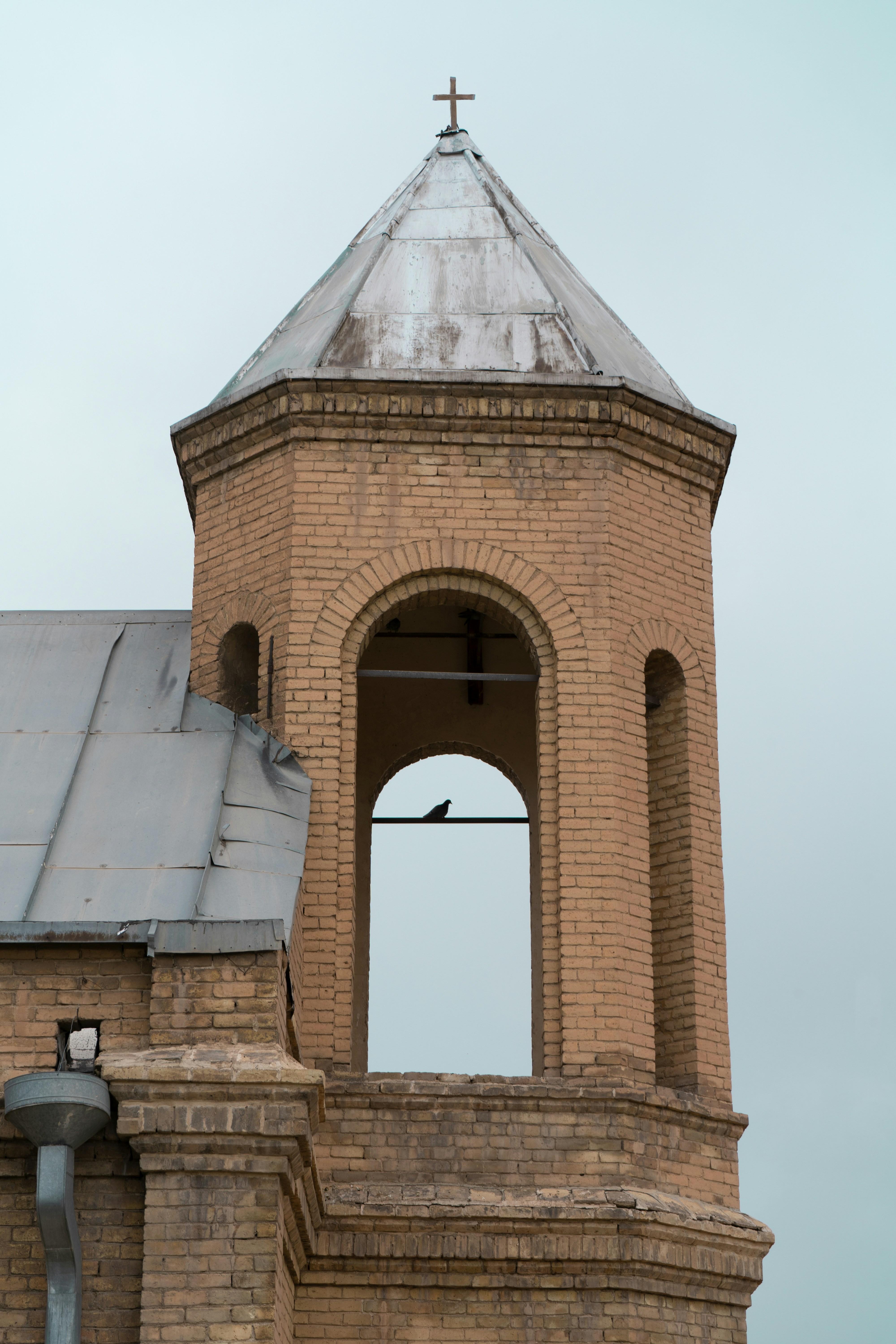 Photo by mahbodakhzami