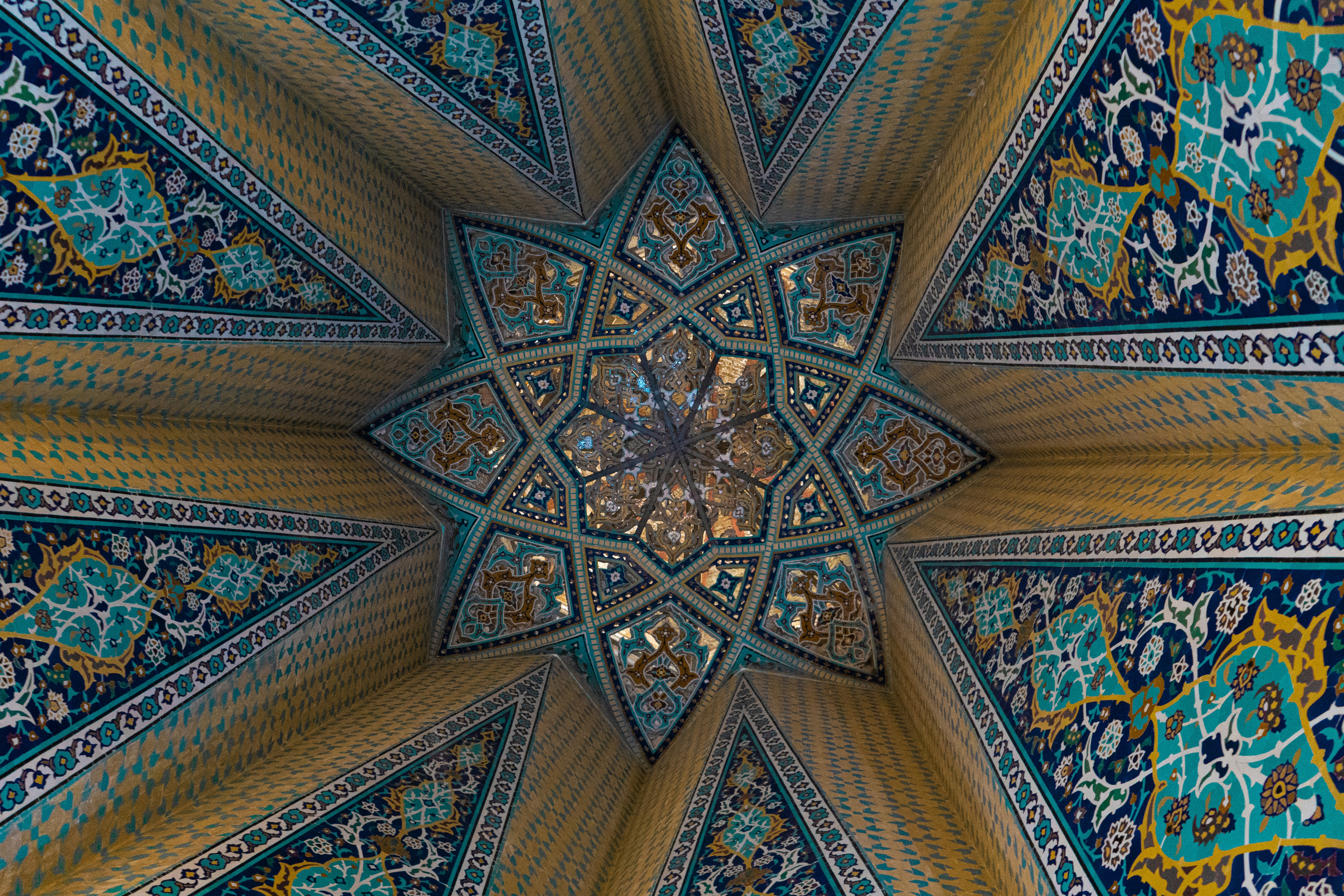 Photo by mahbodakhzami